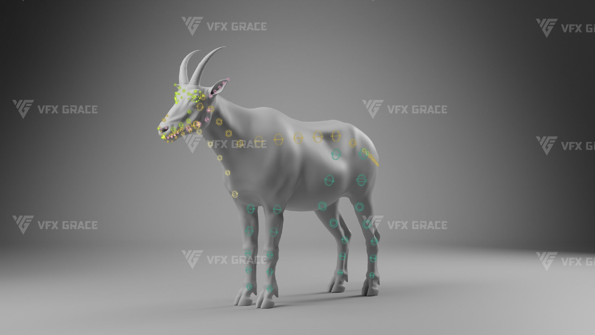 Mountain Goat Animation - Blender 3D model_15