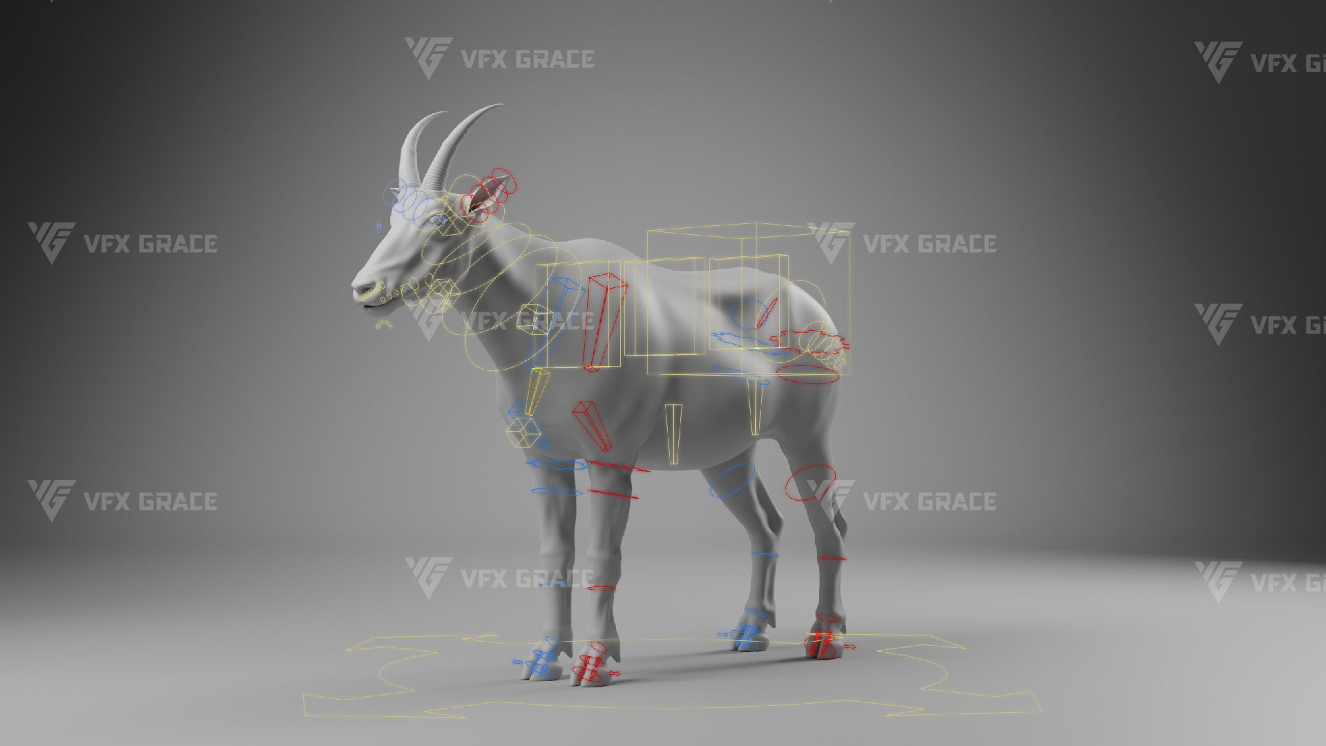 Mountain Goat Animation - Blender 3D model_14