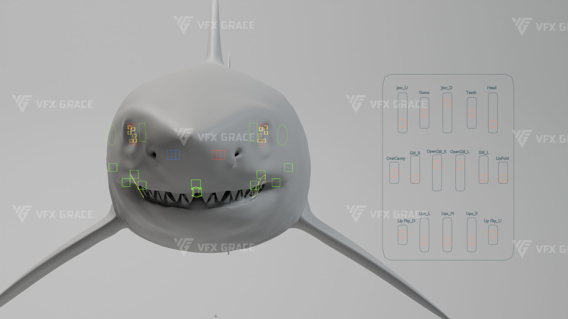 Great White Shark Animation - VFX Grace 3D model_12