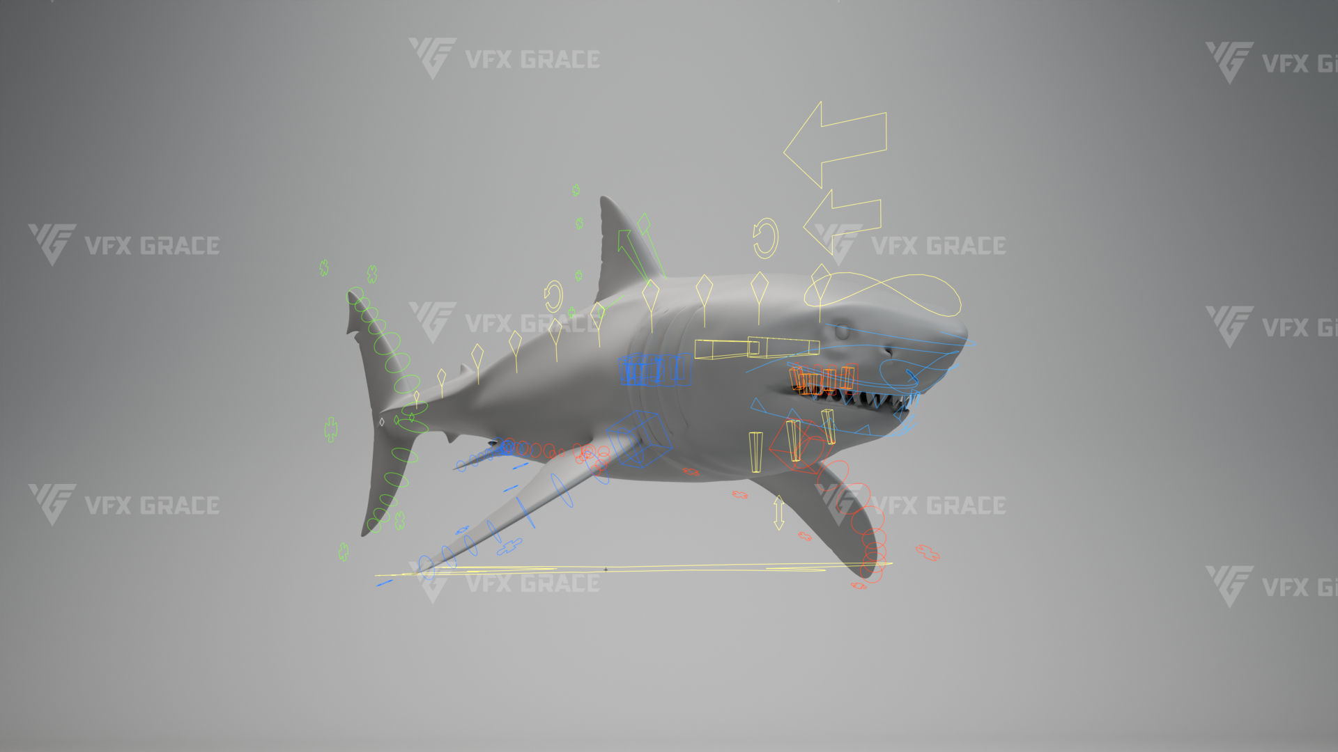 Great White Shark Animation - VFX Grace 3D model_10