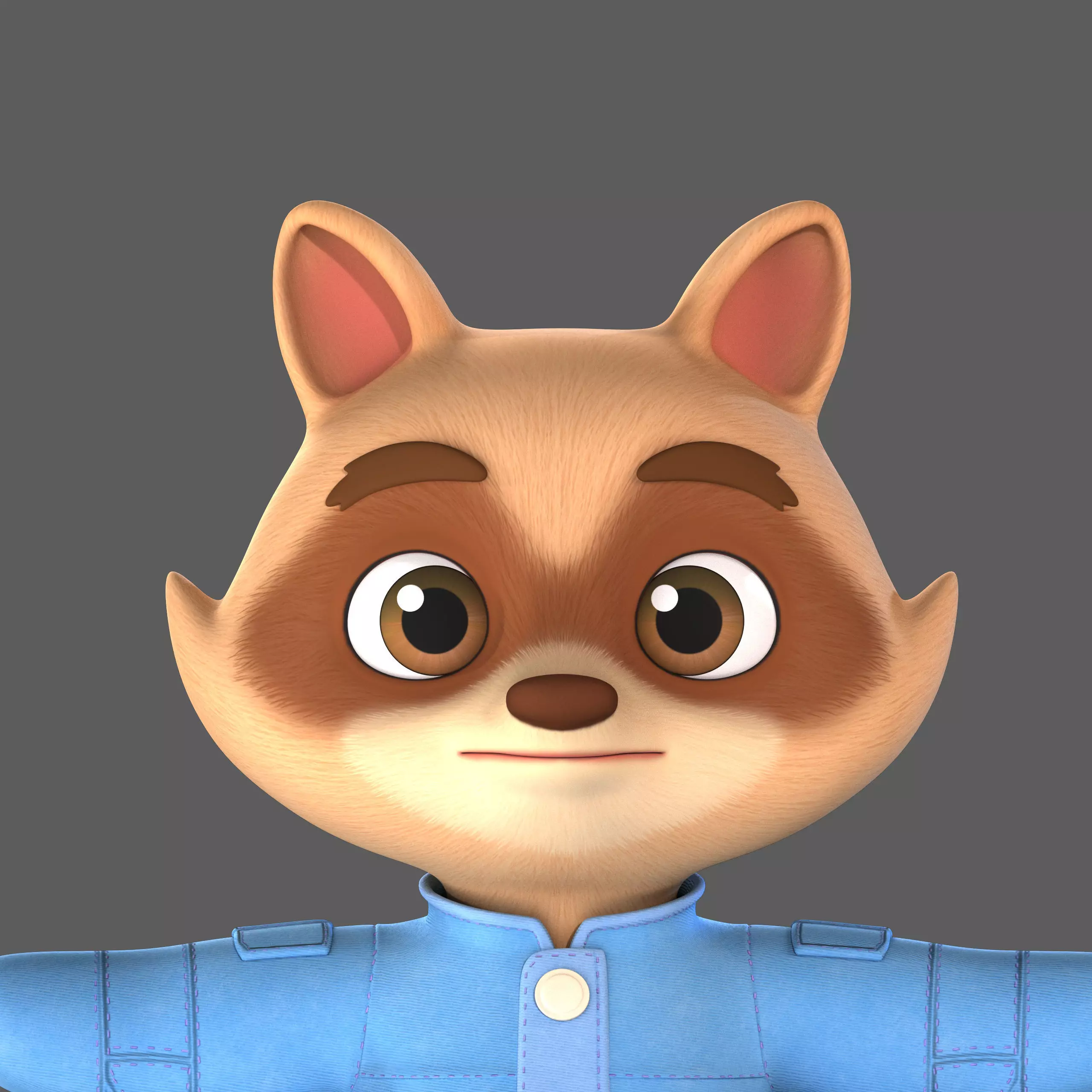 raccoon 3D model_0