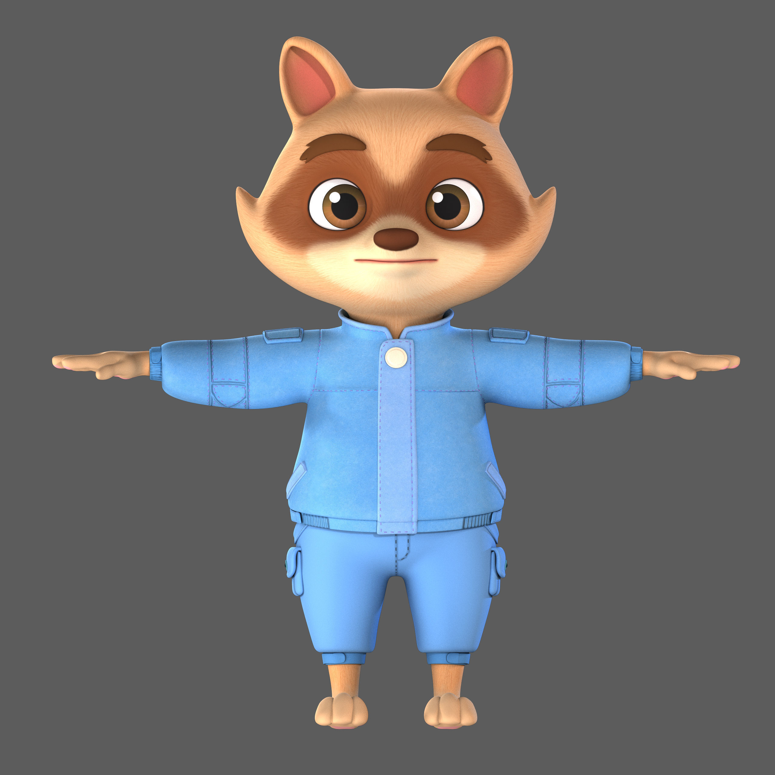 raccoon 3D model_2