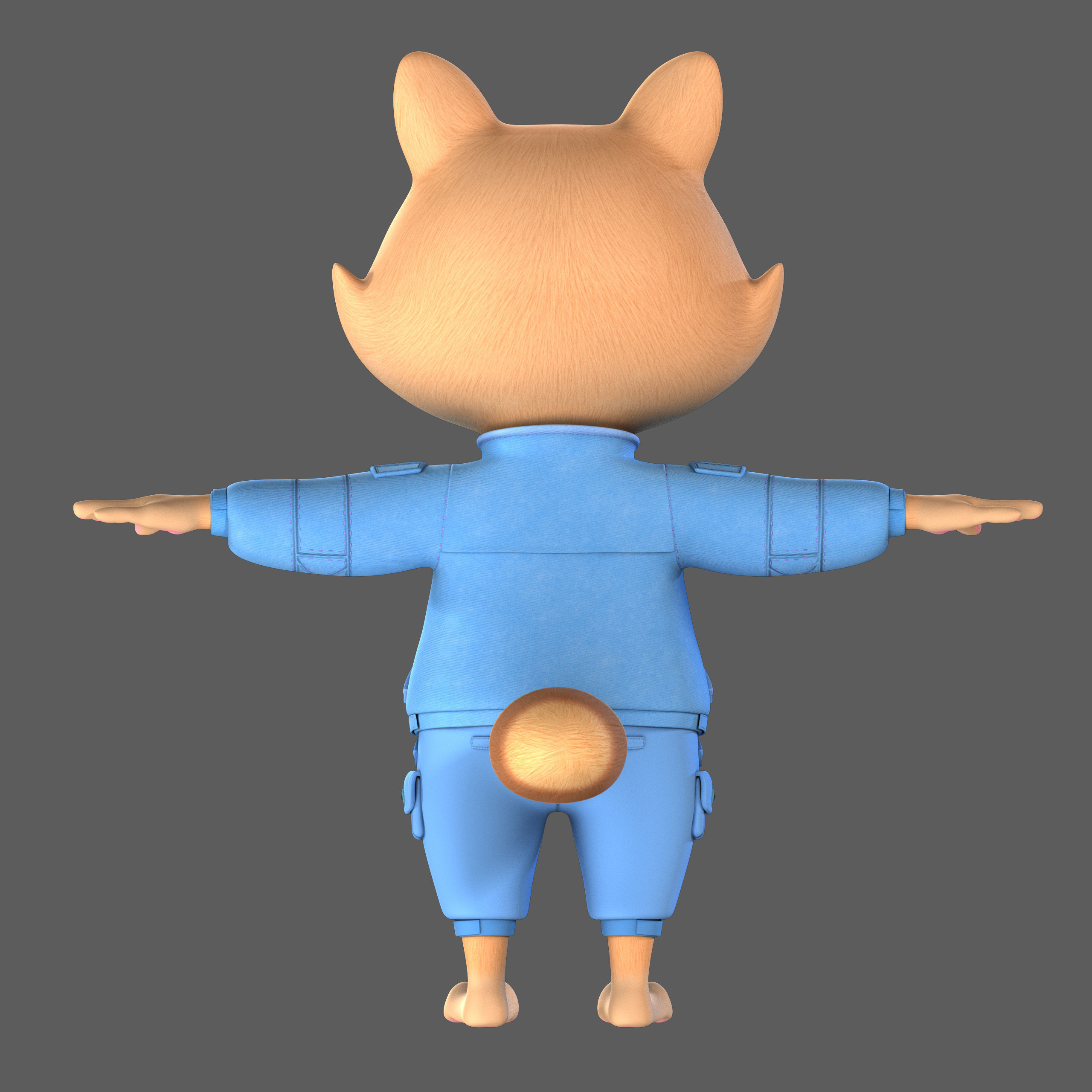 raccoon 3D model_3