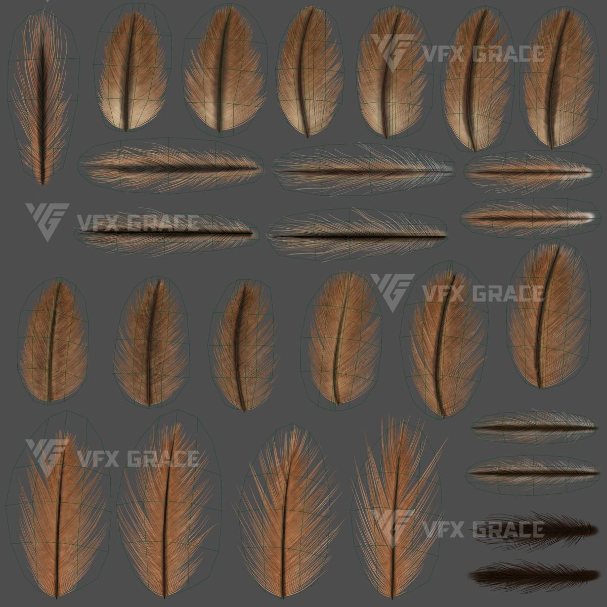 Black Kite Animation -  Blender 3D model_17