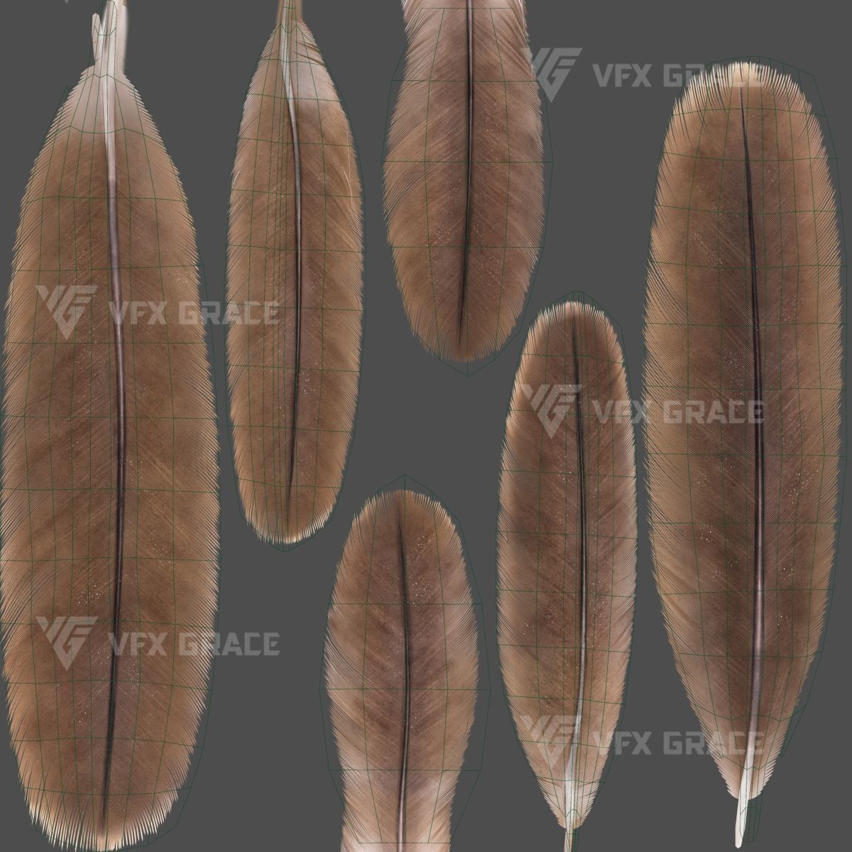 Black Kite Animation -  Blender 3D model_18