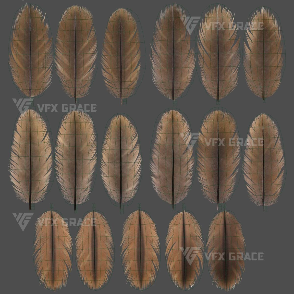 Black Kite Animation -  Blender 3D model_24