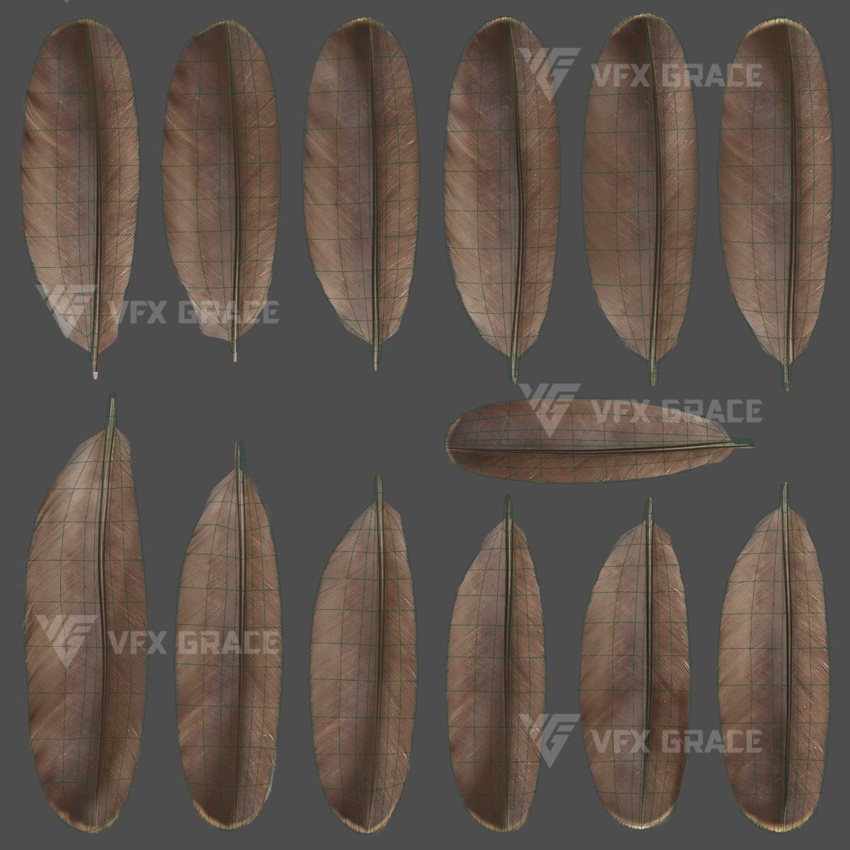 Black Kite Animation -  Blender 3D model_21