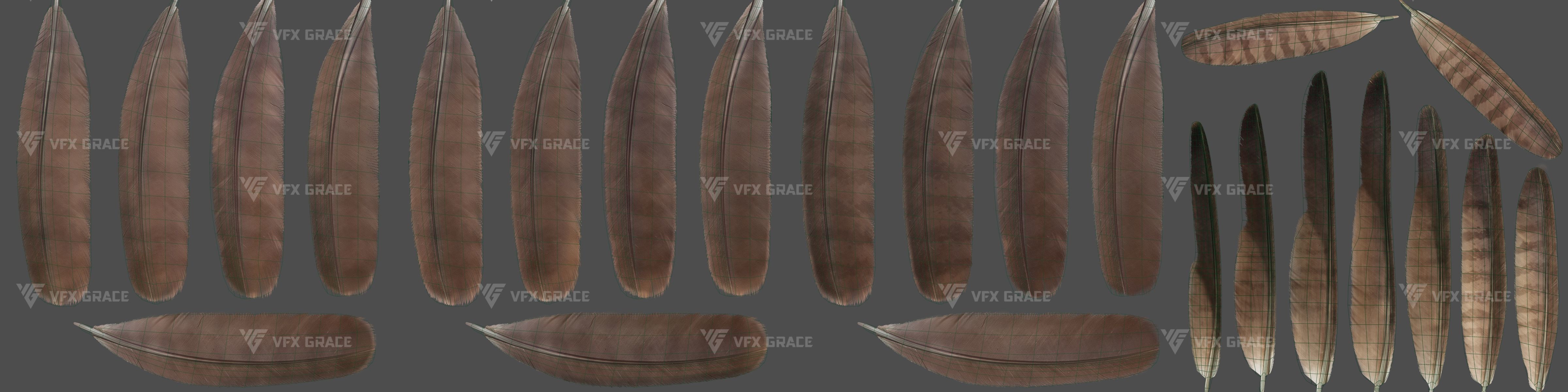 Black Kite Animation -  Blender 3D model_29