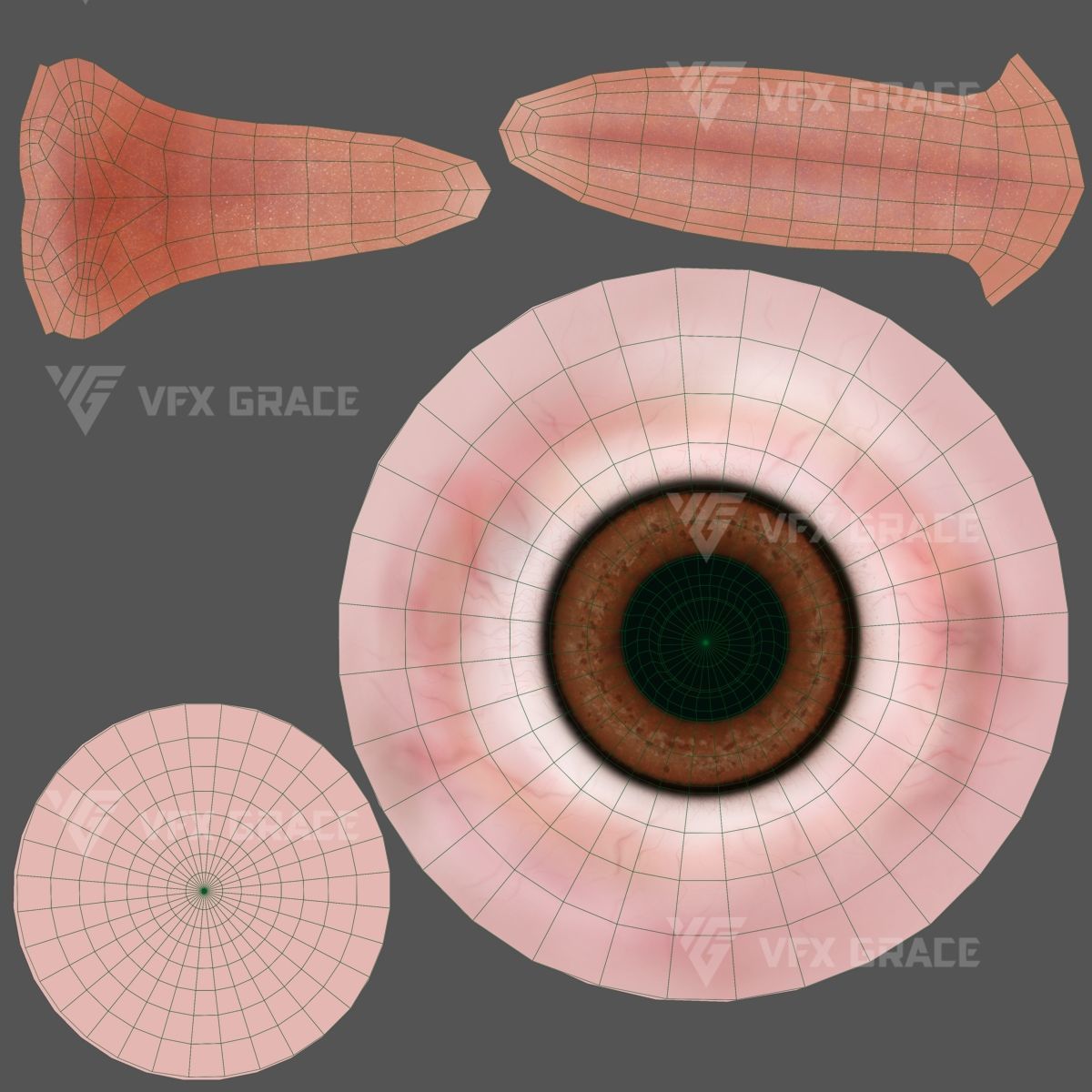 Black Kite Animation -  Blender 3D model_19