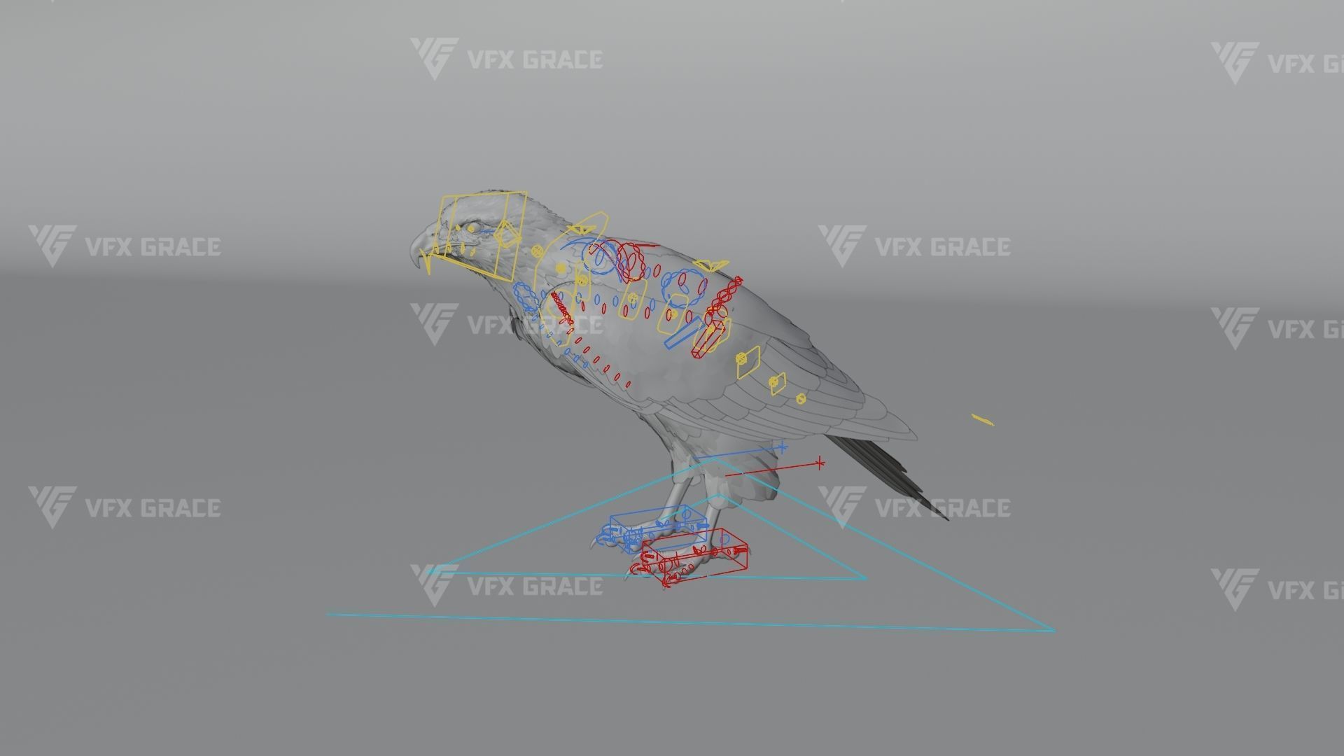 Black Kite Animation -  Blender 3D model_13