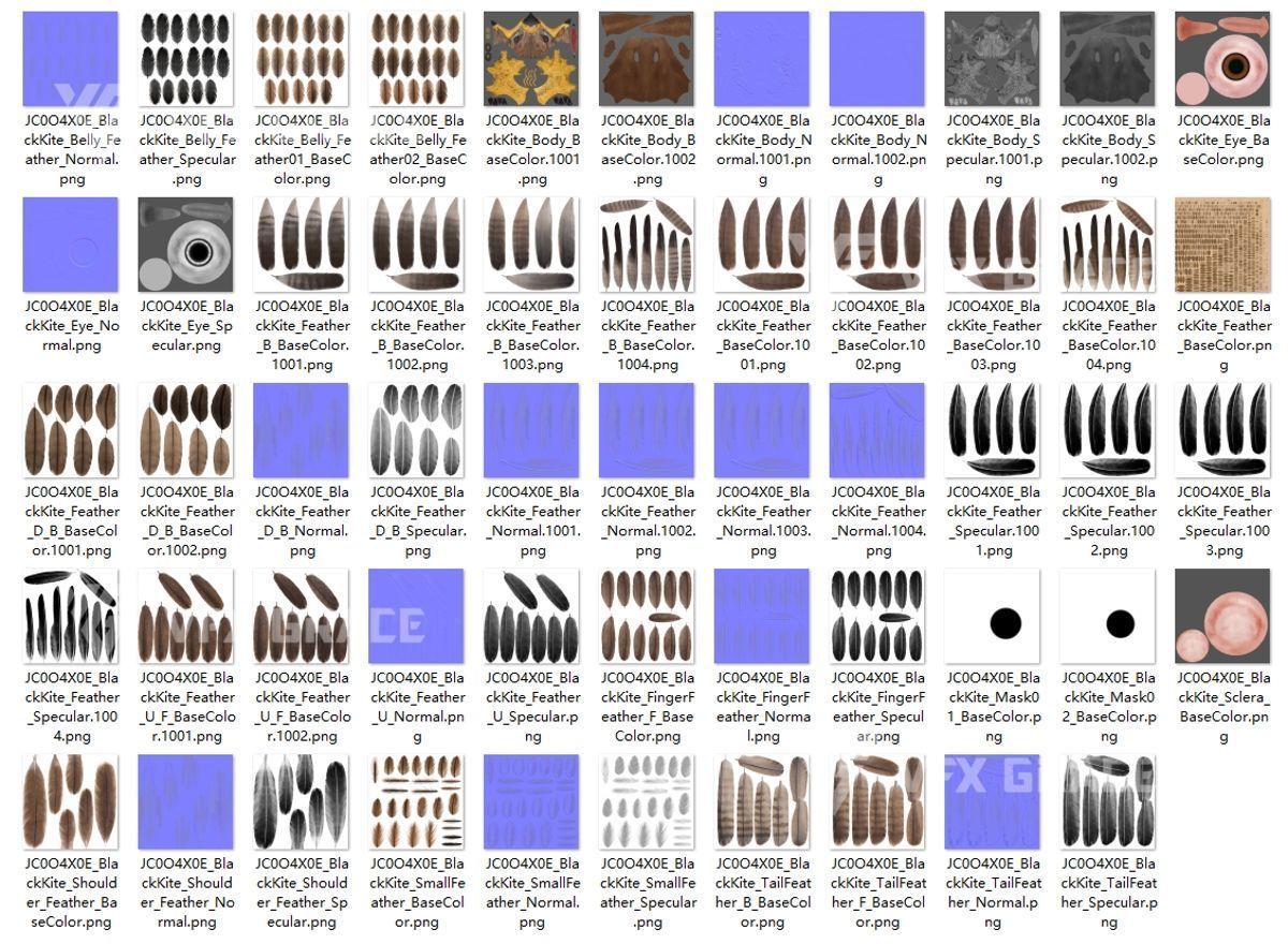 Black Kite Animation -  Blender 3D model_32