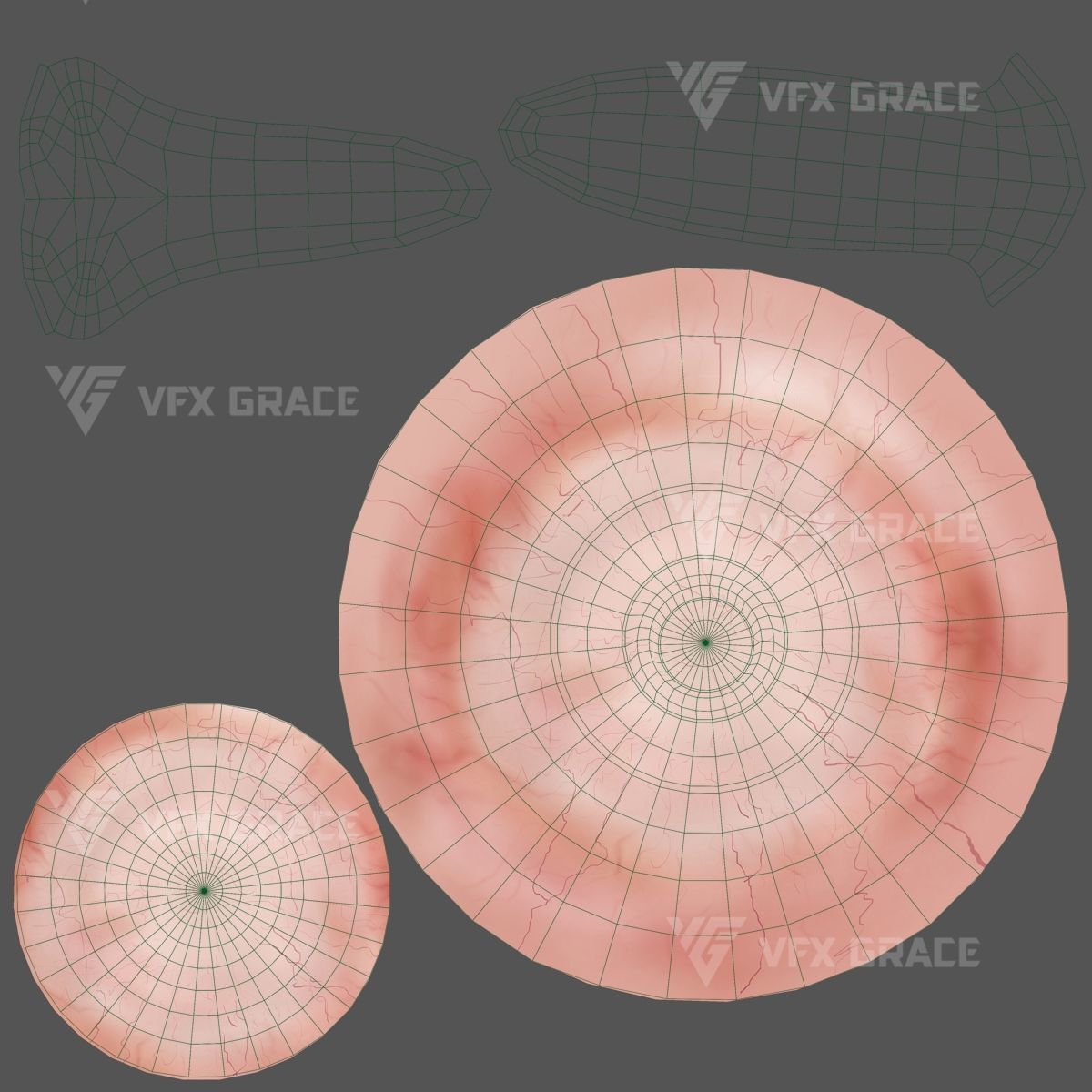 Black Kite Animation -  Blender 3D model_20