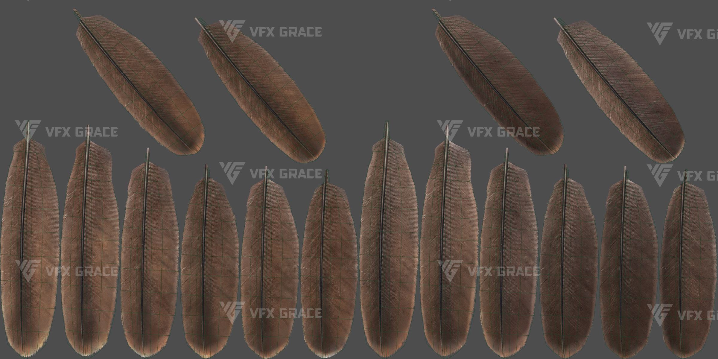 Black Kite Animation -  Blender 3D model_26