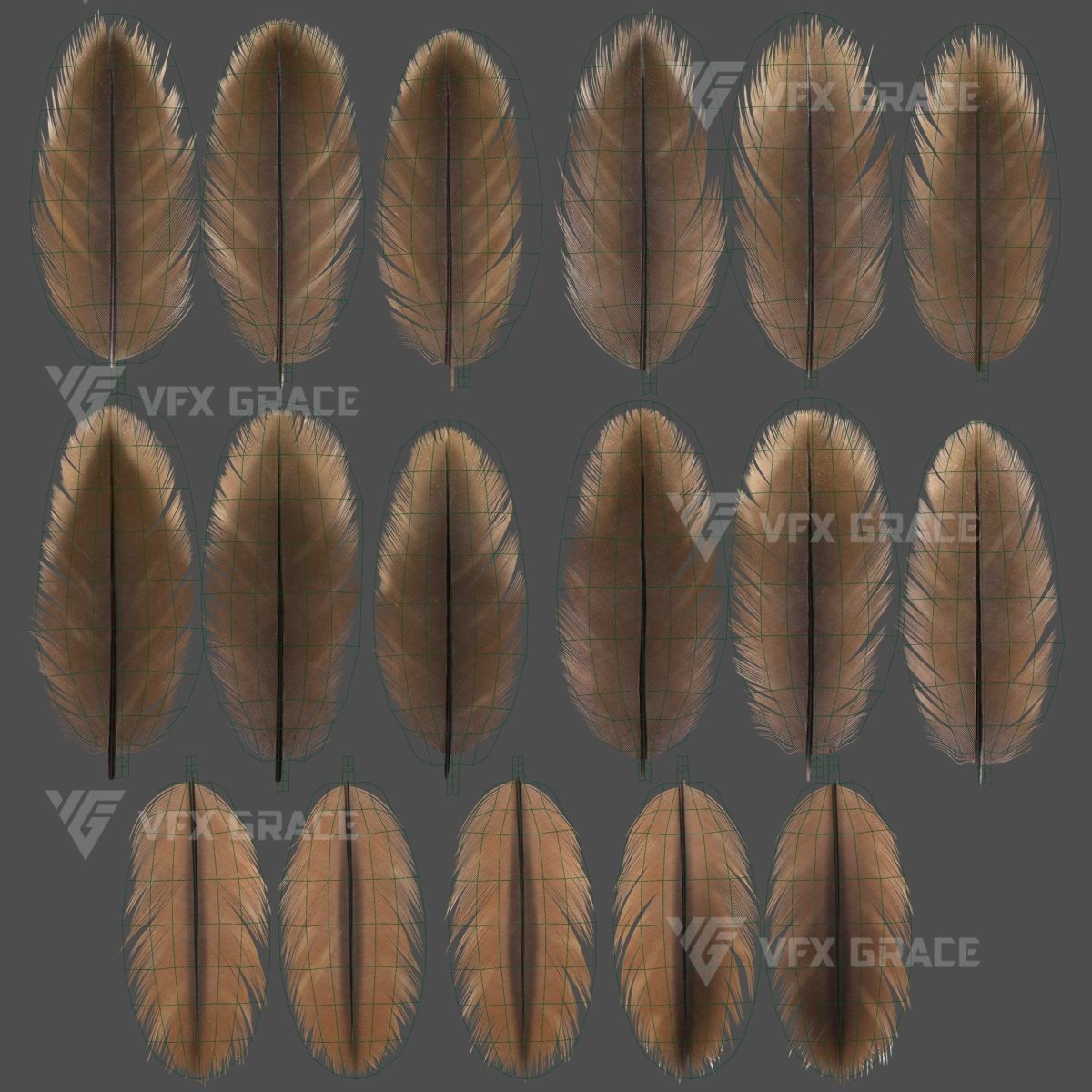 Black Kite Animation -  Blender 3D model_25