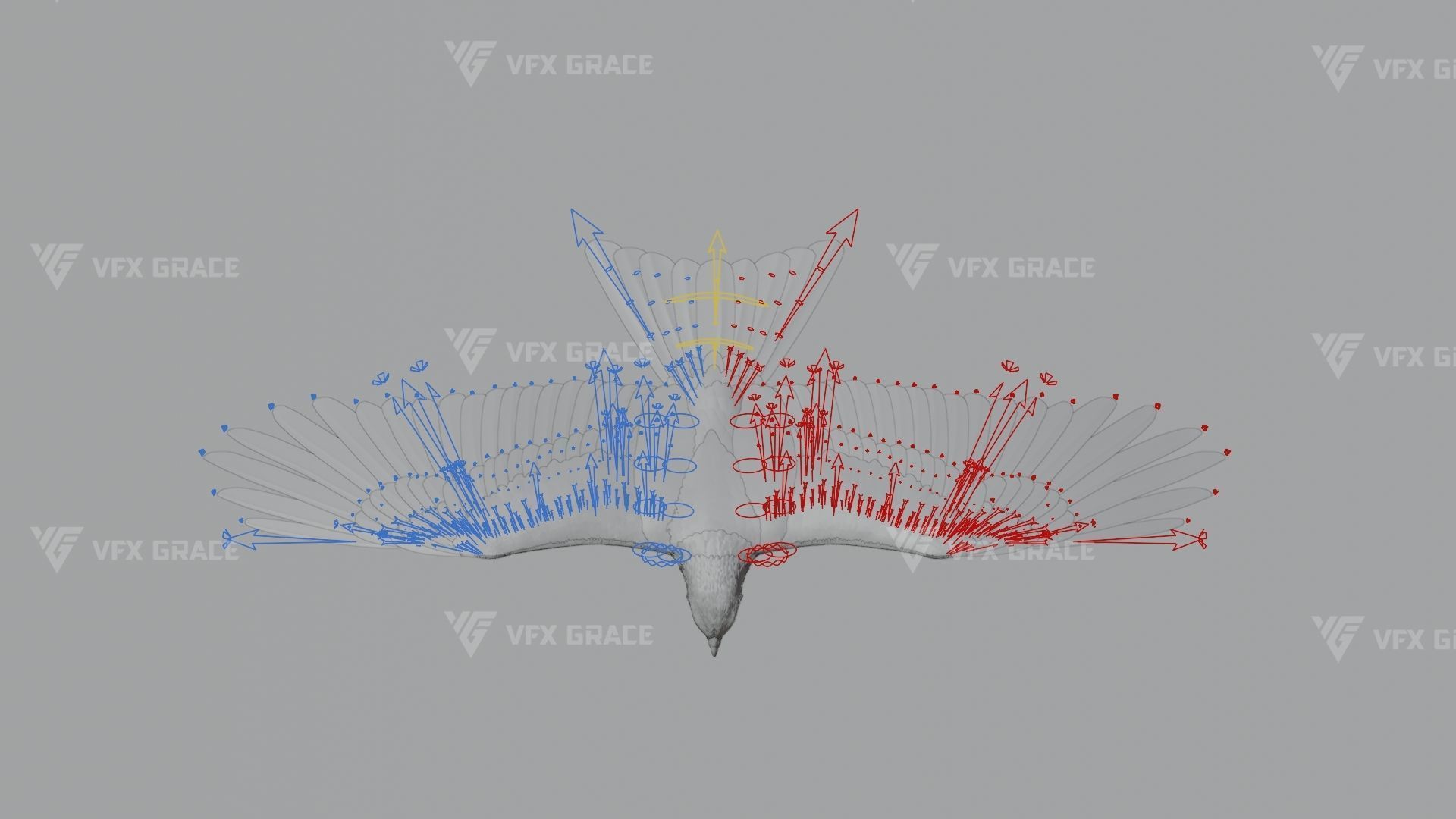 Black Kite Animation -  Blender 3D model_15