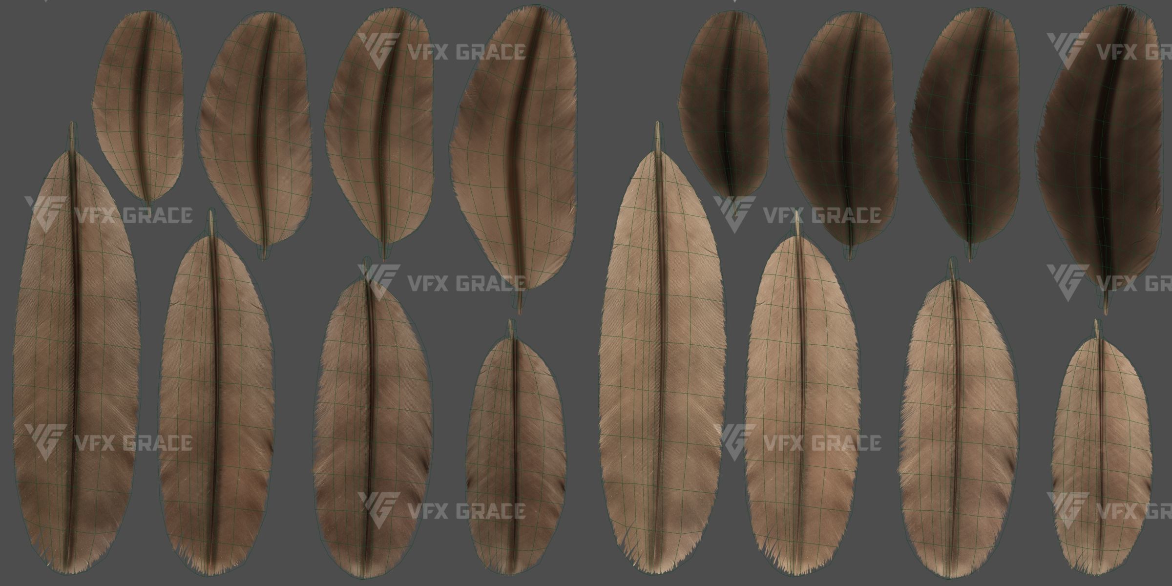 Black Kite Animation -  Blender 3D model_27