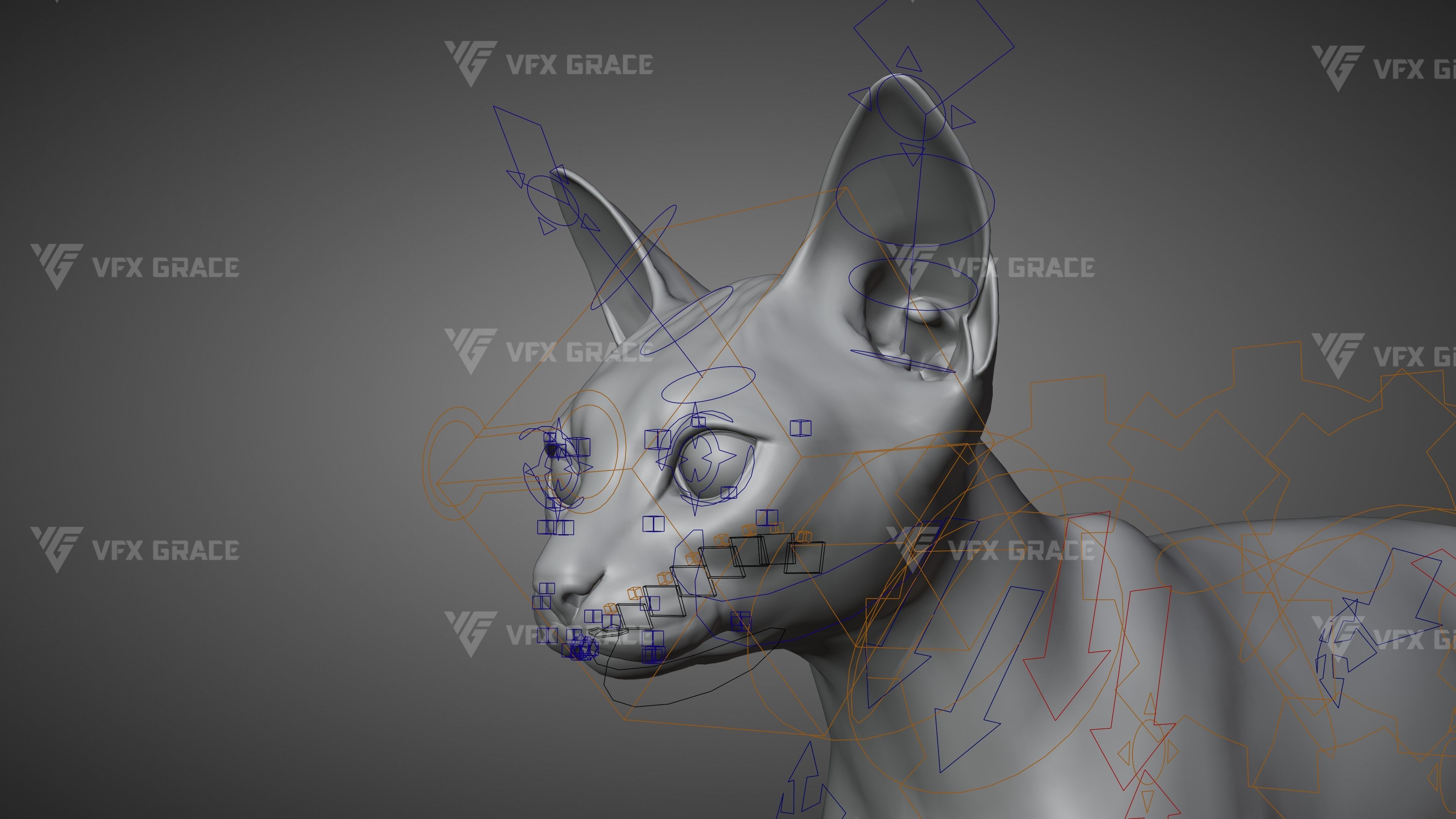 Black Cat Animation - VFX Grace 3D model_19