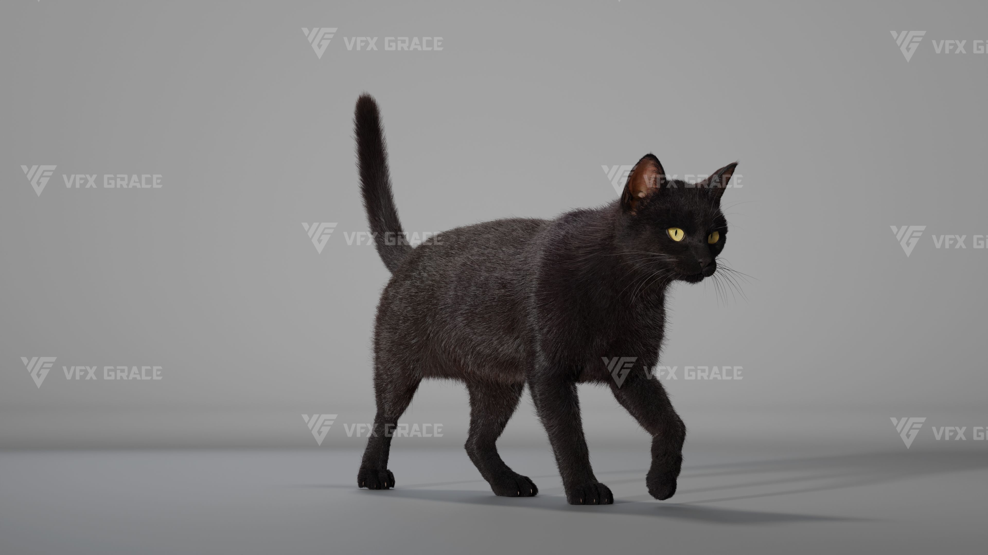 Black Cat Animation - VFX Grace 3D model_6