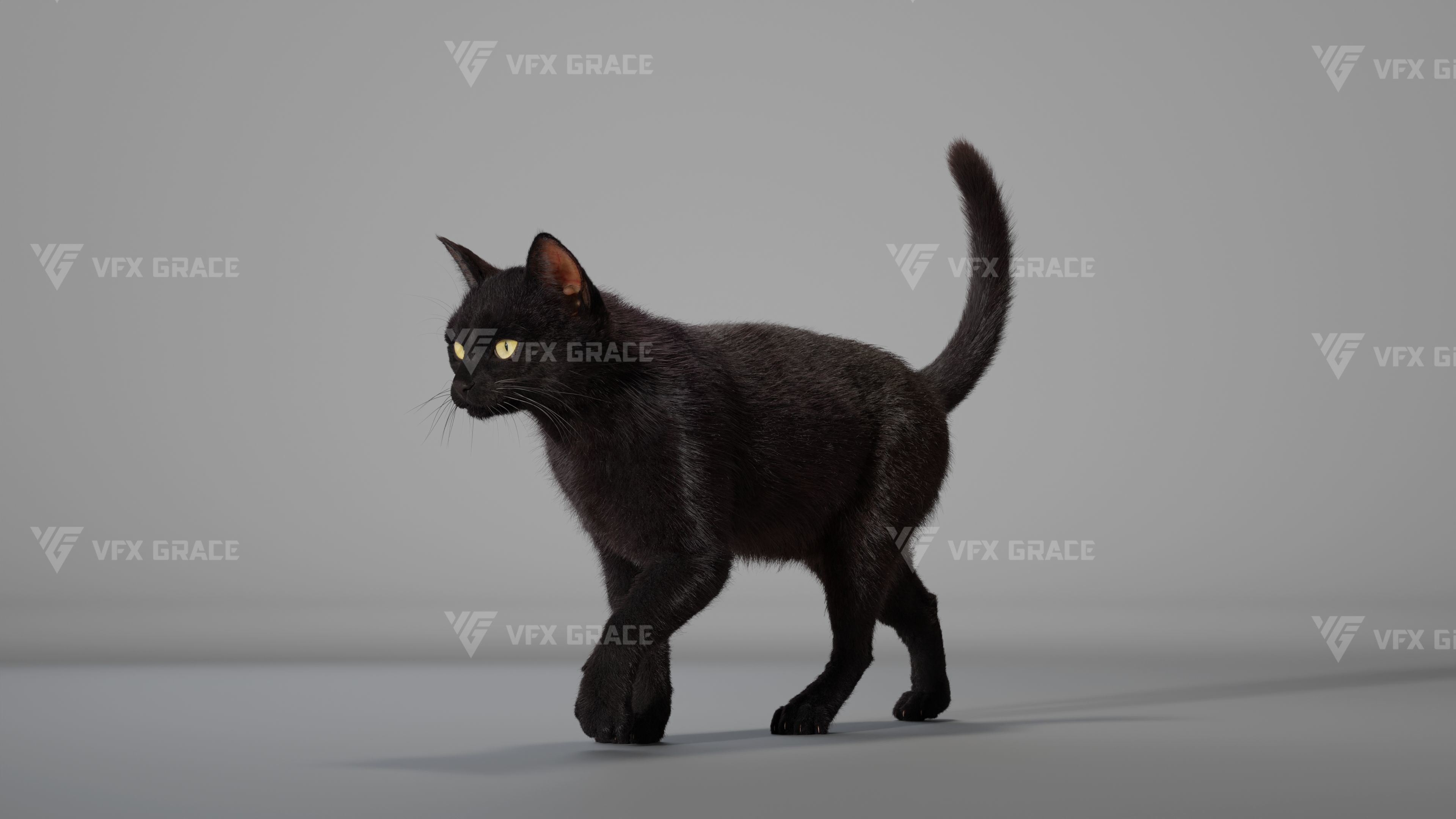 Black Cat Animation - VFX Grace 3D model_12