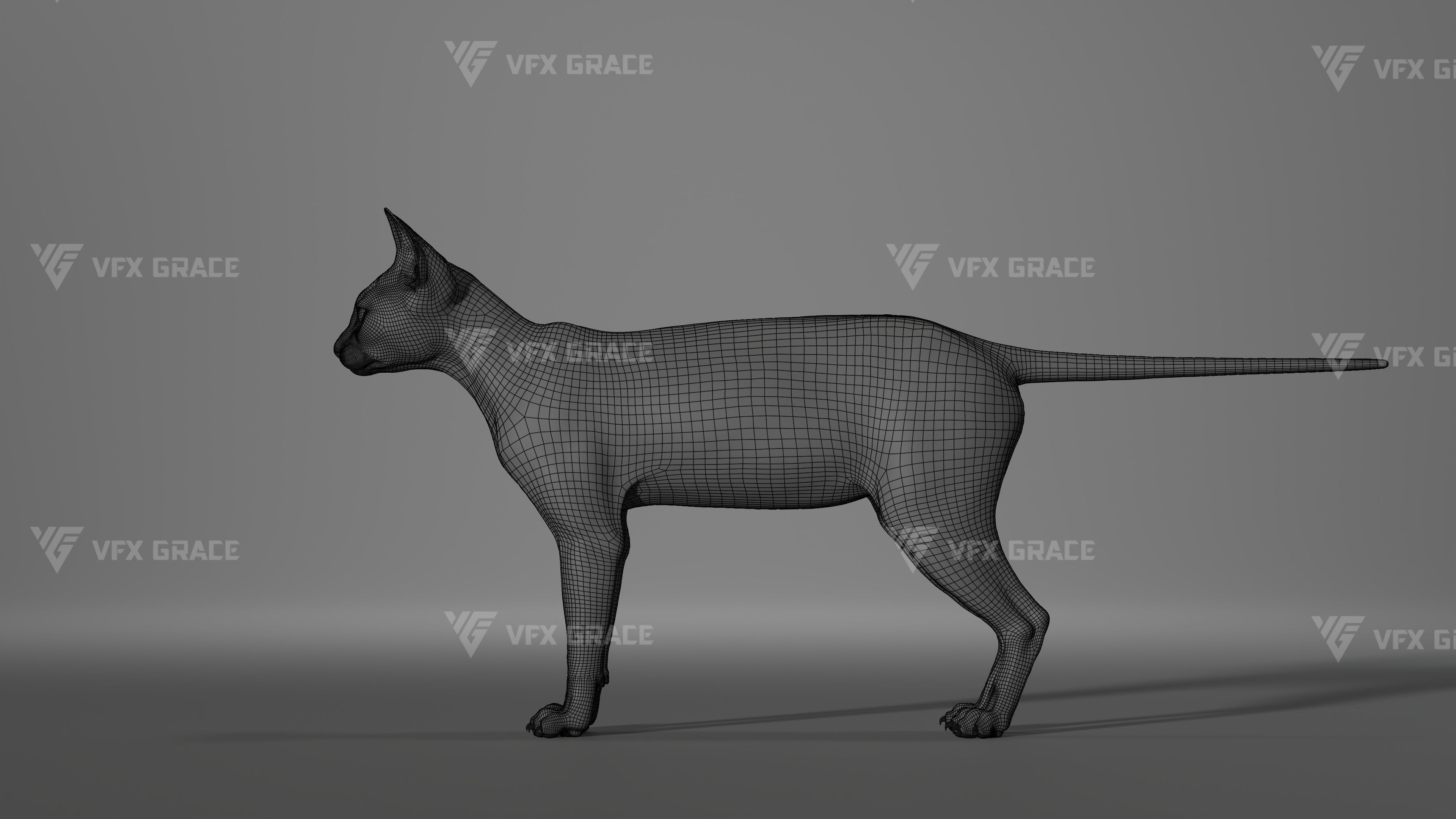 Black Cat Animation - VFX Grace 3D model_14