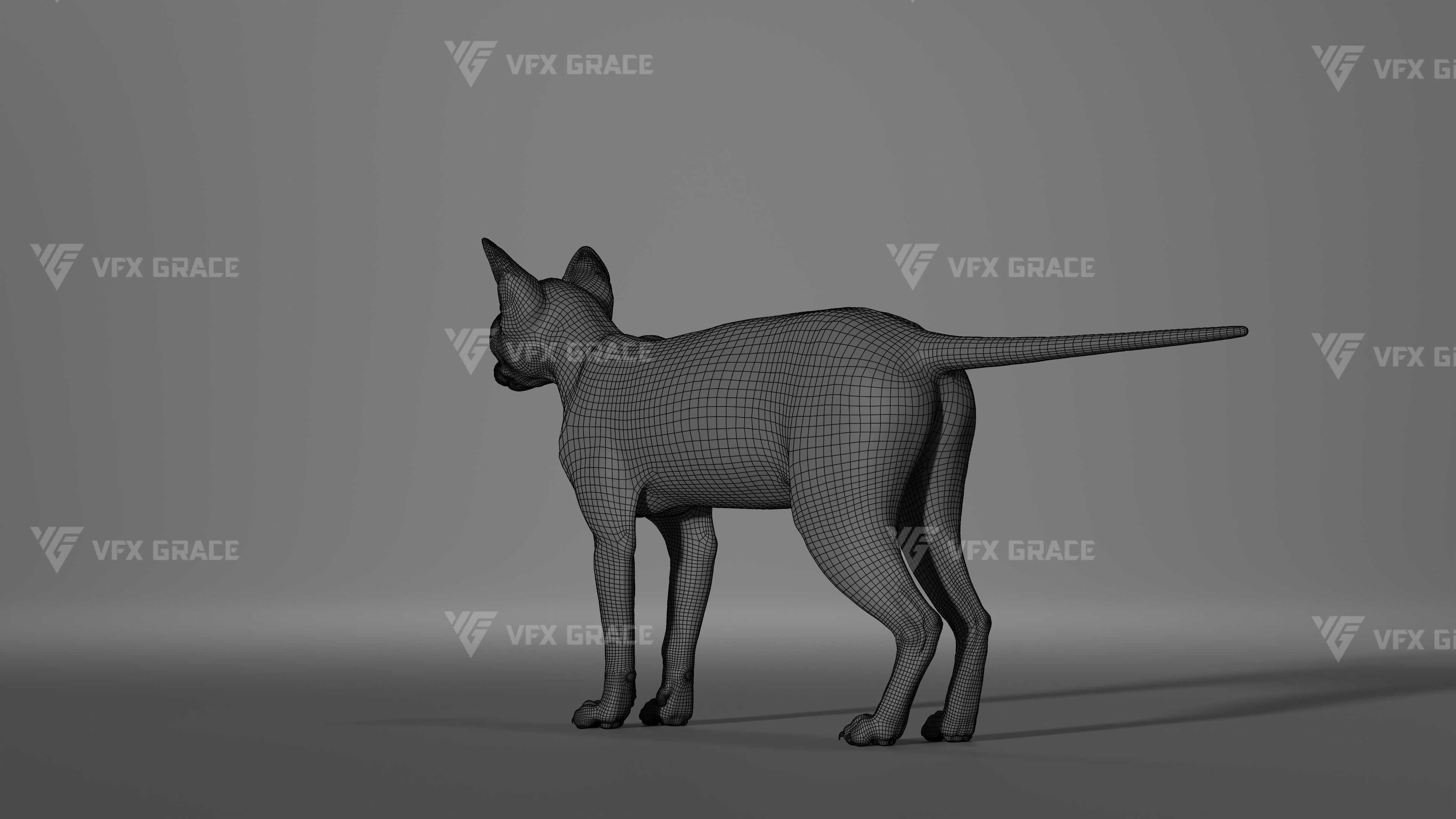Black Cat Animation - VFX Grace 3D model_15