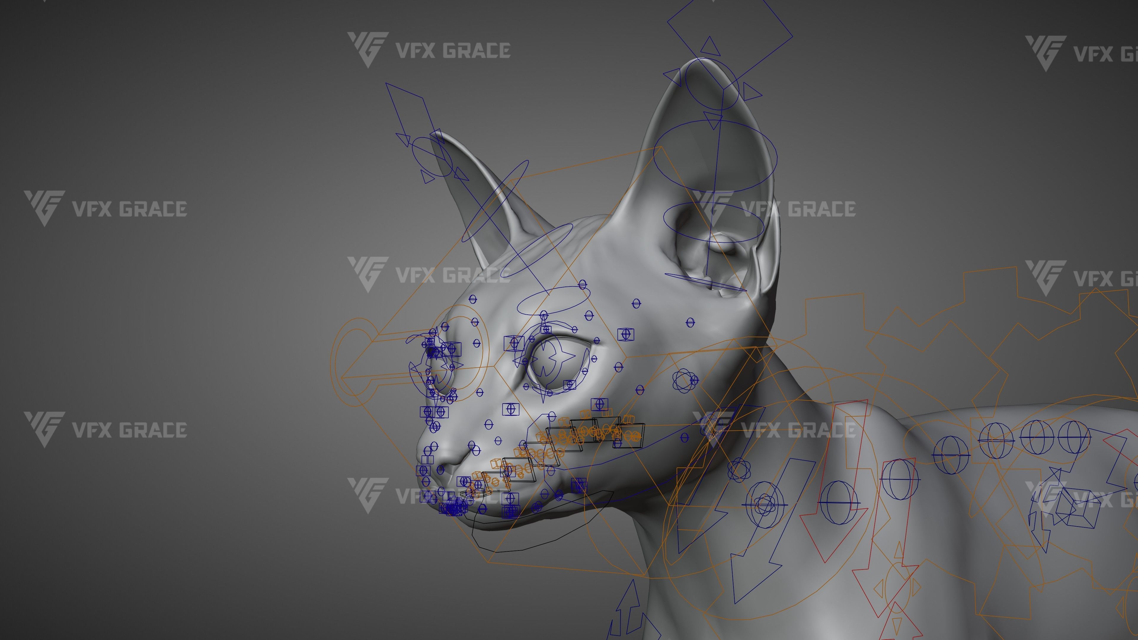 Black Cat Animation - VFX Grace 3D model_20