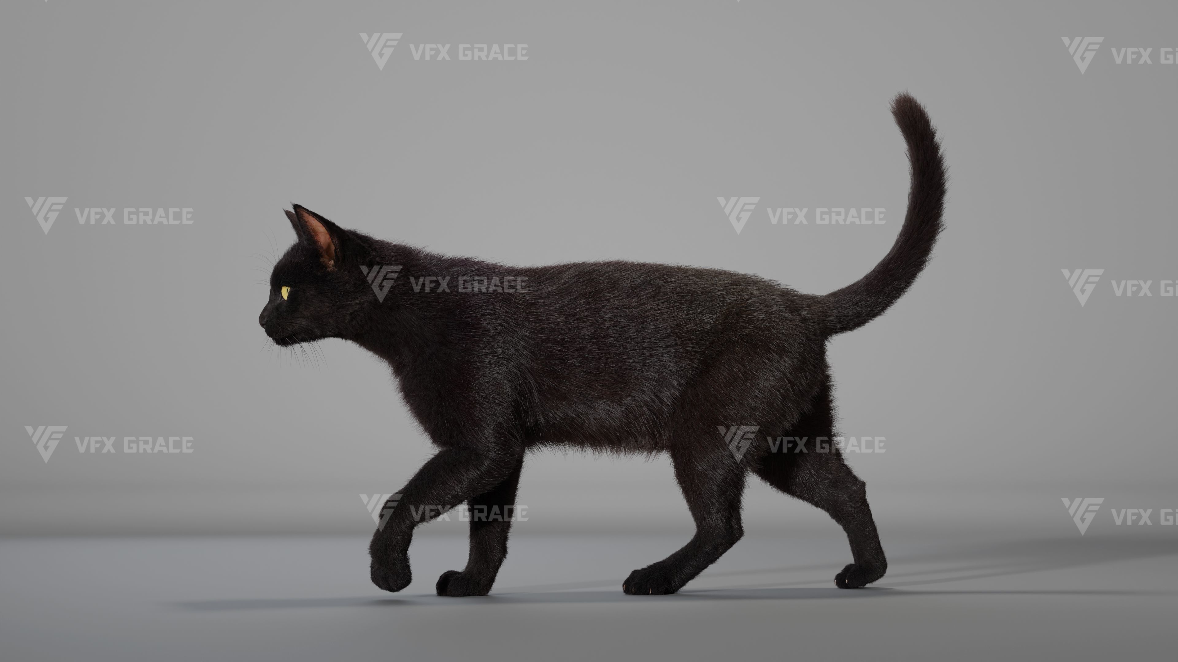 Black Cat Animation - VFX Grace 3D model_11