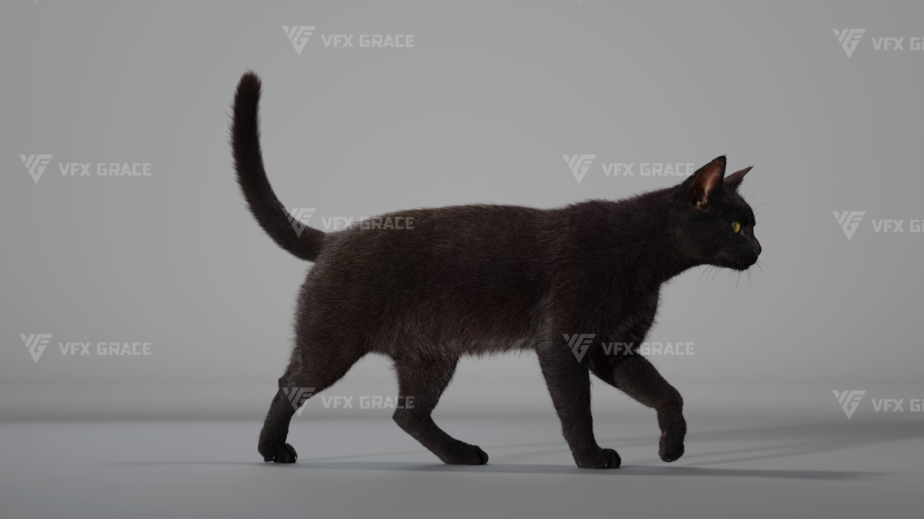 Black Cat Animation - VFX Grace 3D model_7