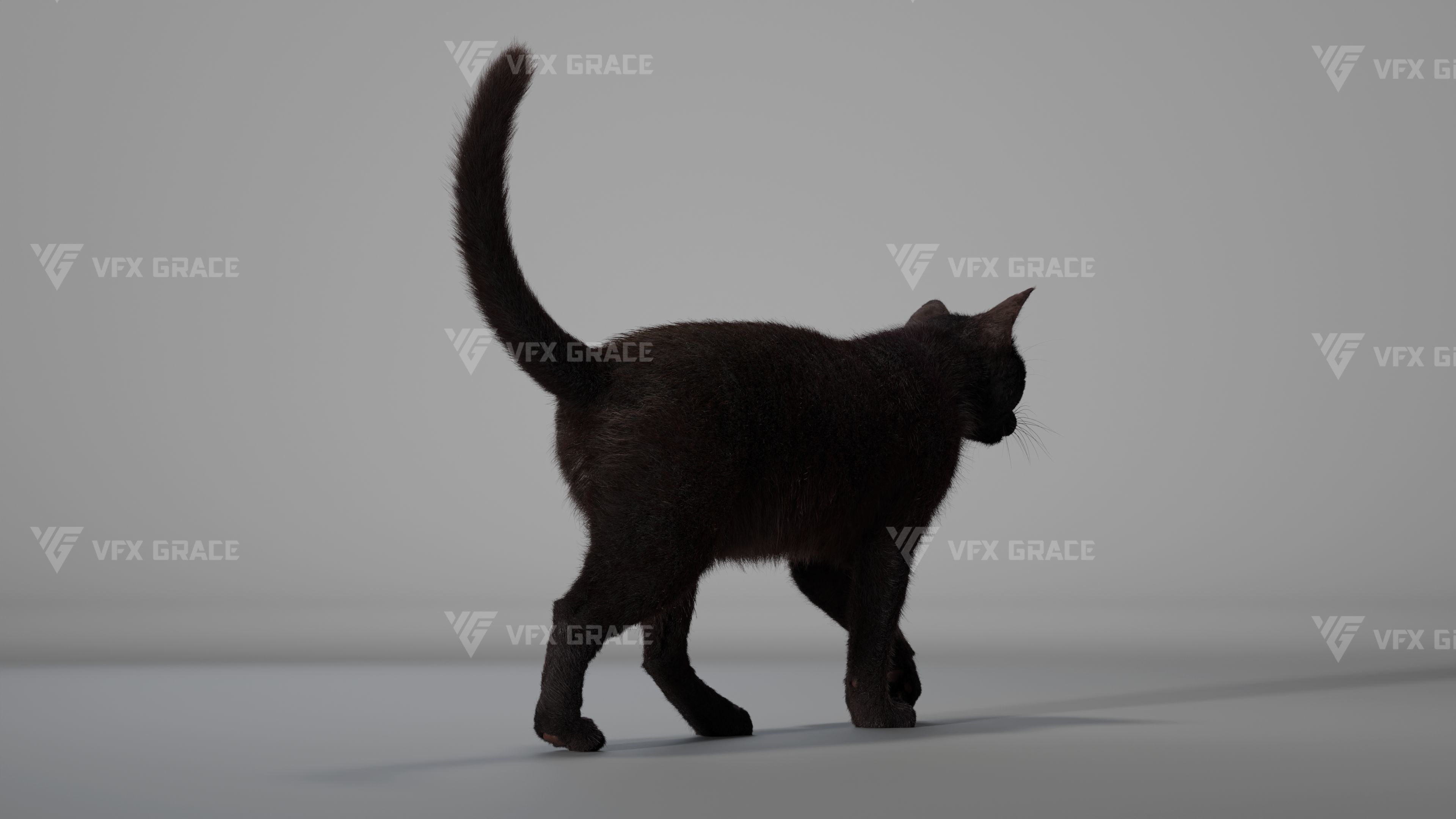 Black Cat Animation - VFX Grace 3D model_8