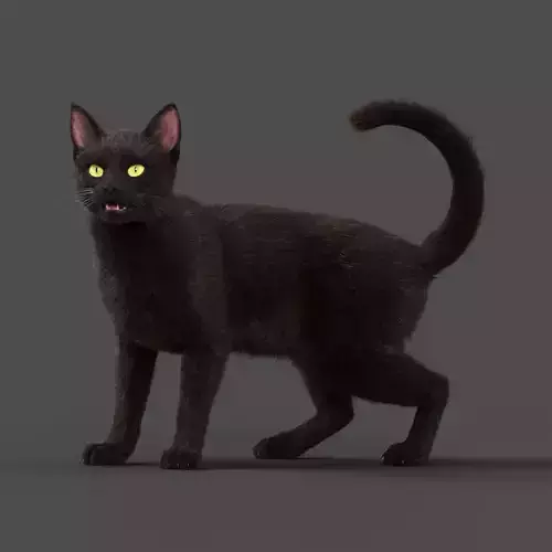 Black Cat Animation - VFX Grace 3D model