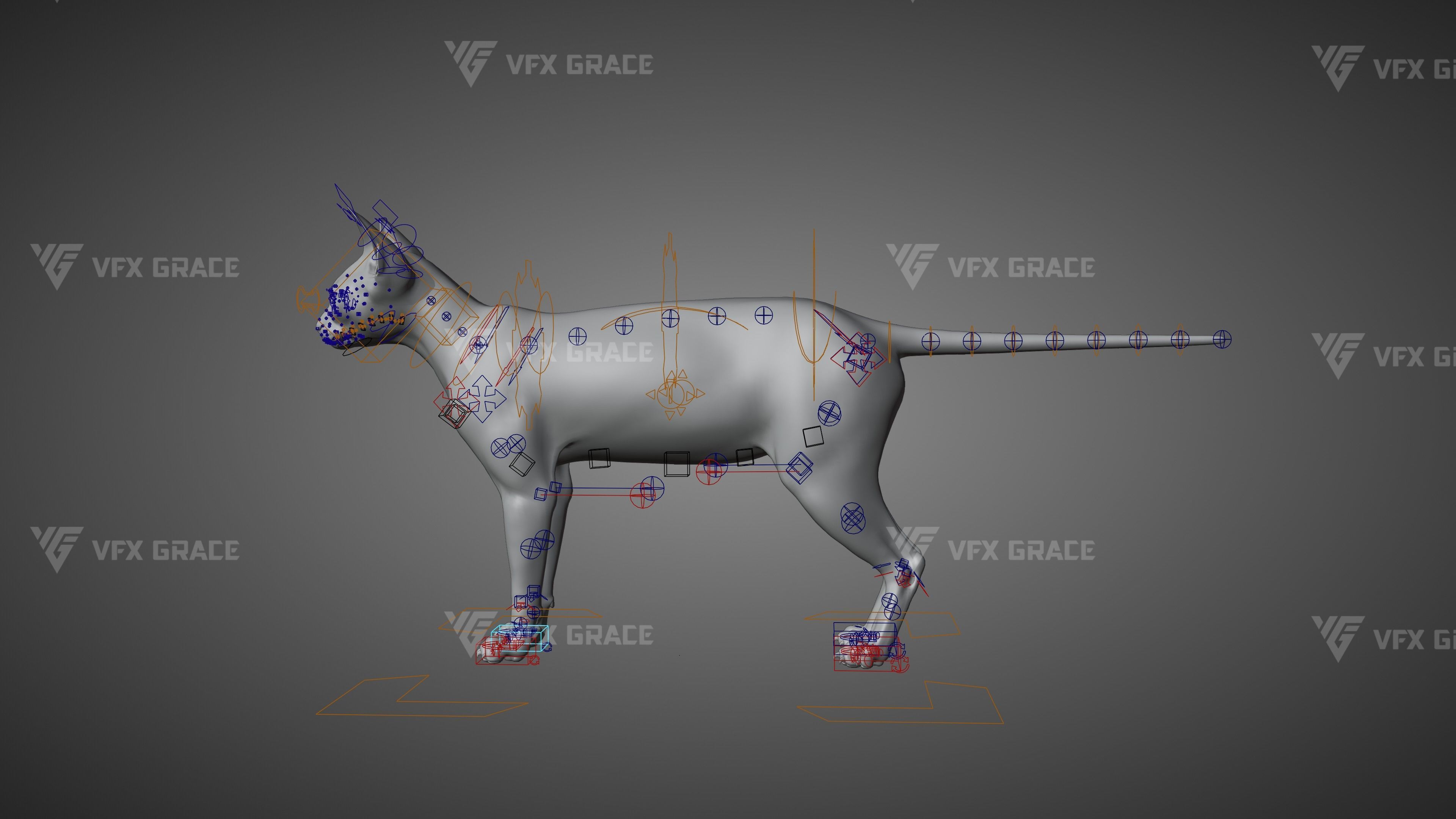 Black Cat Animation - VFX Grace 3D model_18