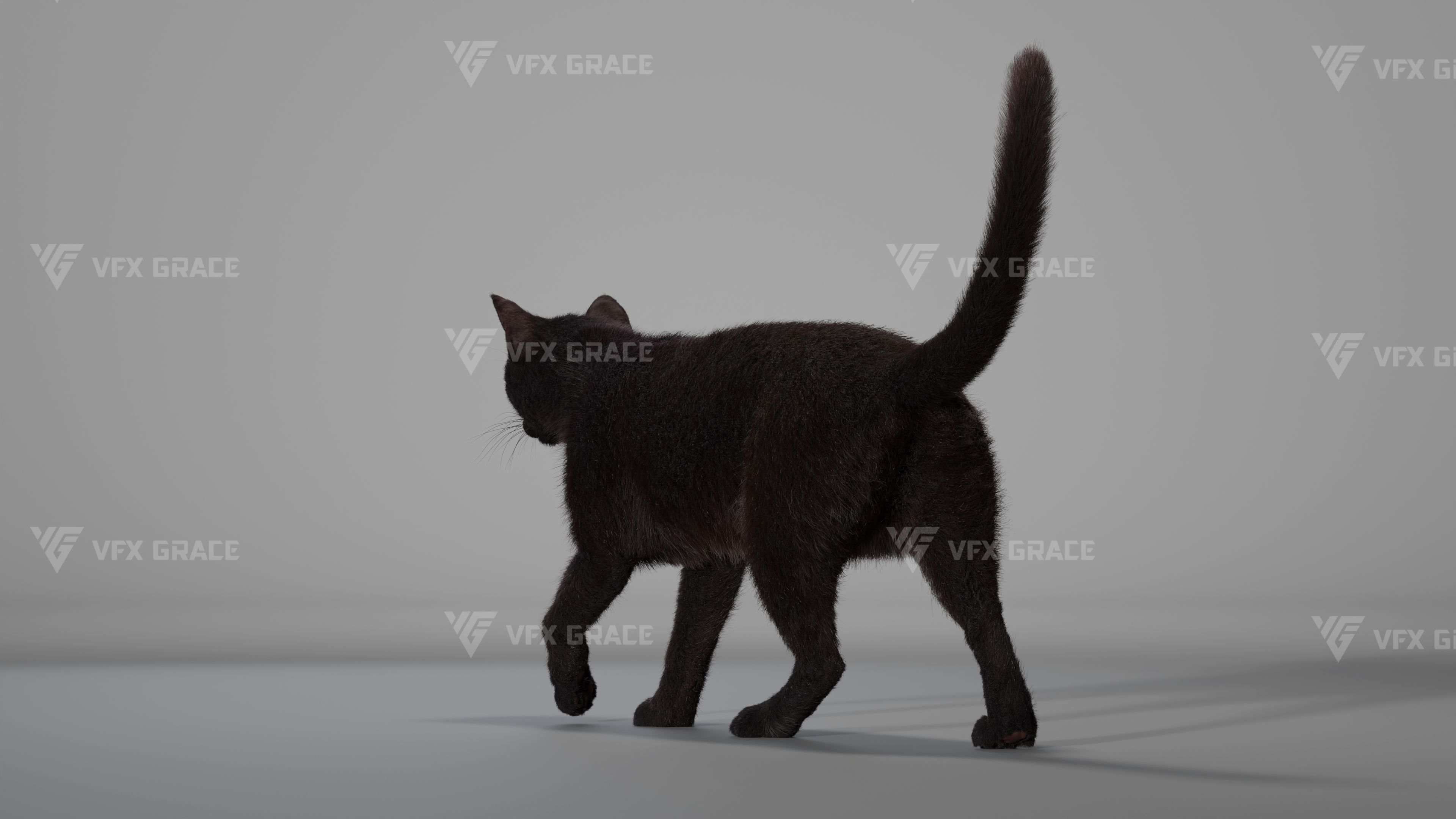 Black Cat Animation - VFX Grace 3D model_10