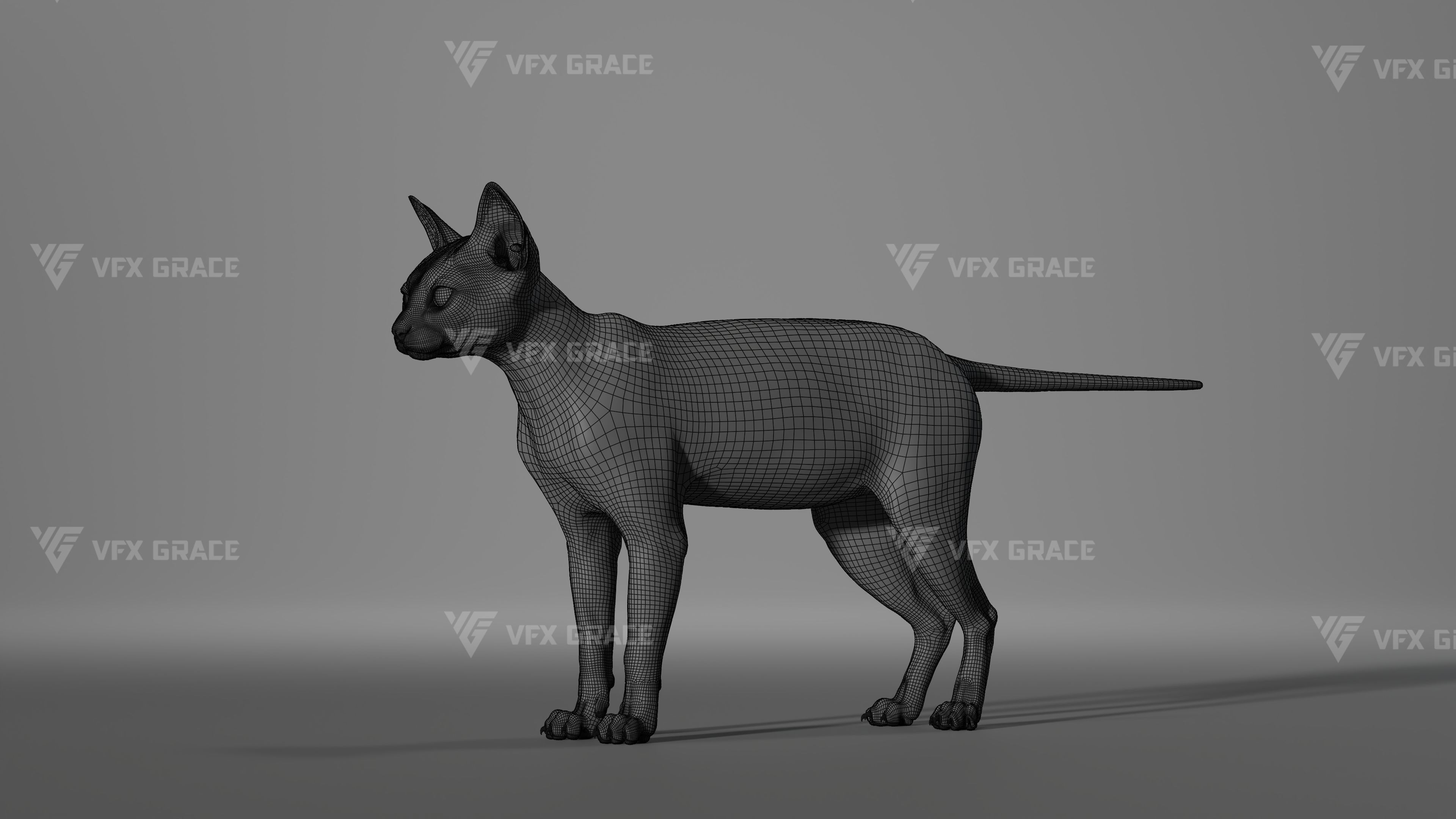 Black Cat Animation - VFX Grace 3D model_13