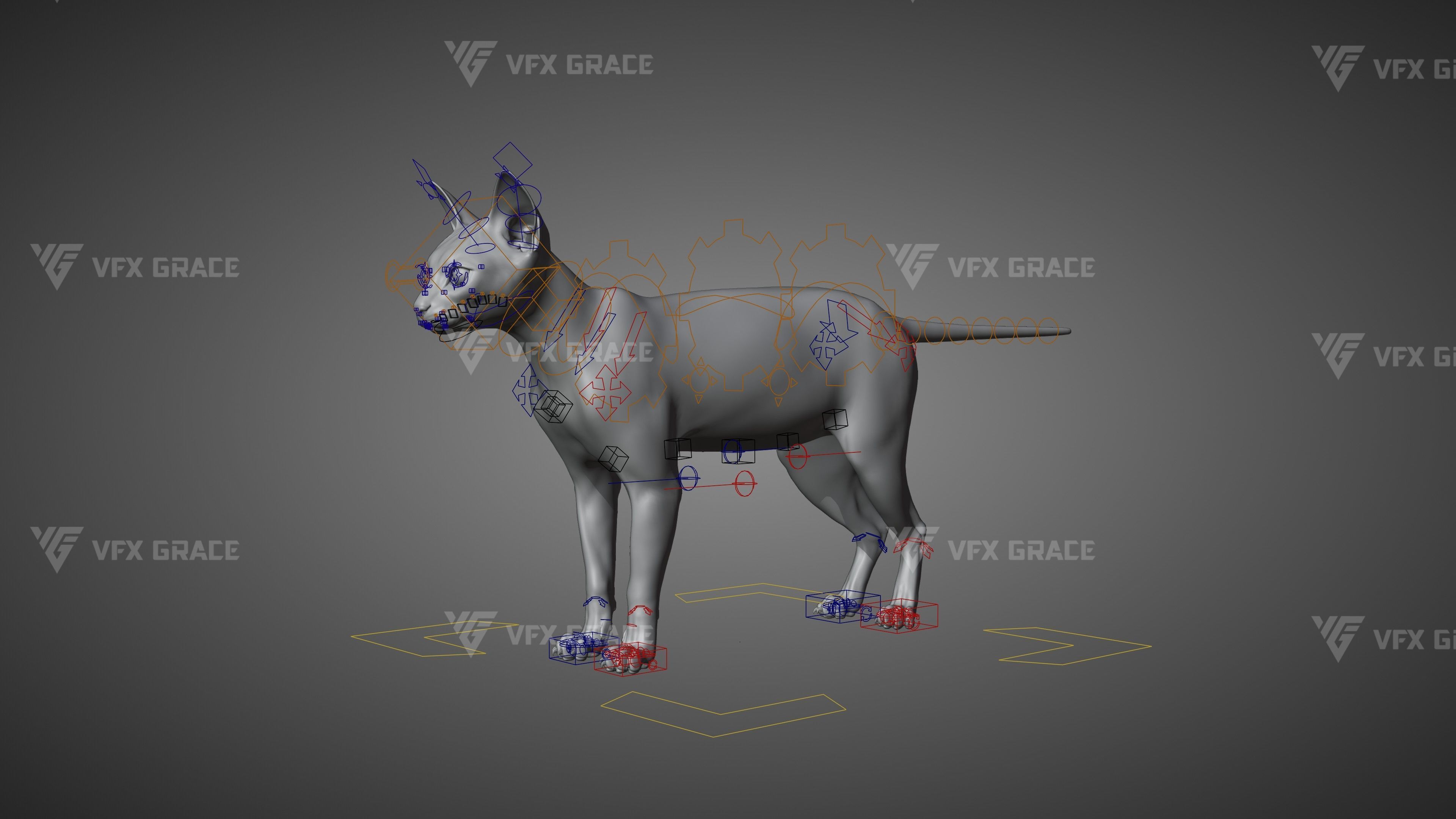 Black Cat Animation - VFX Grace 3D model_16