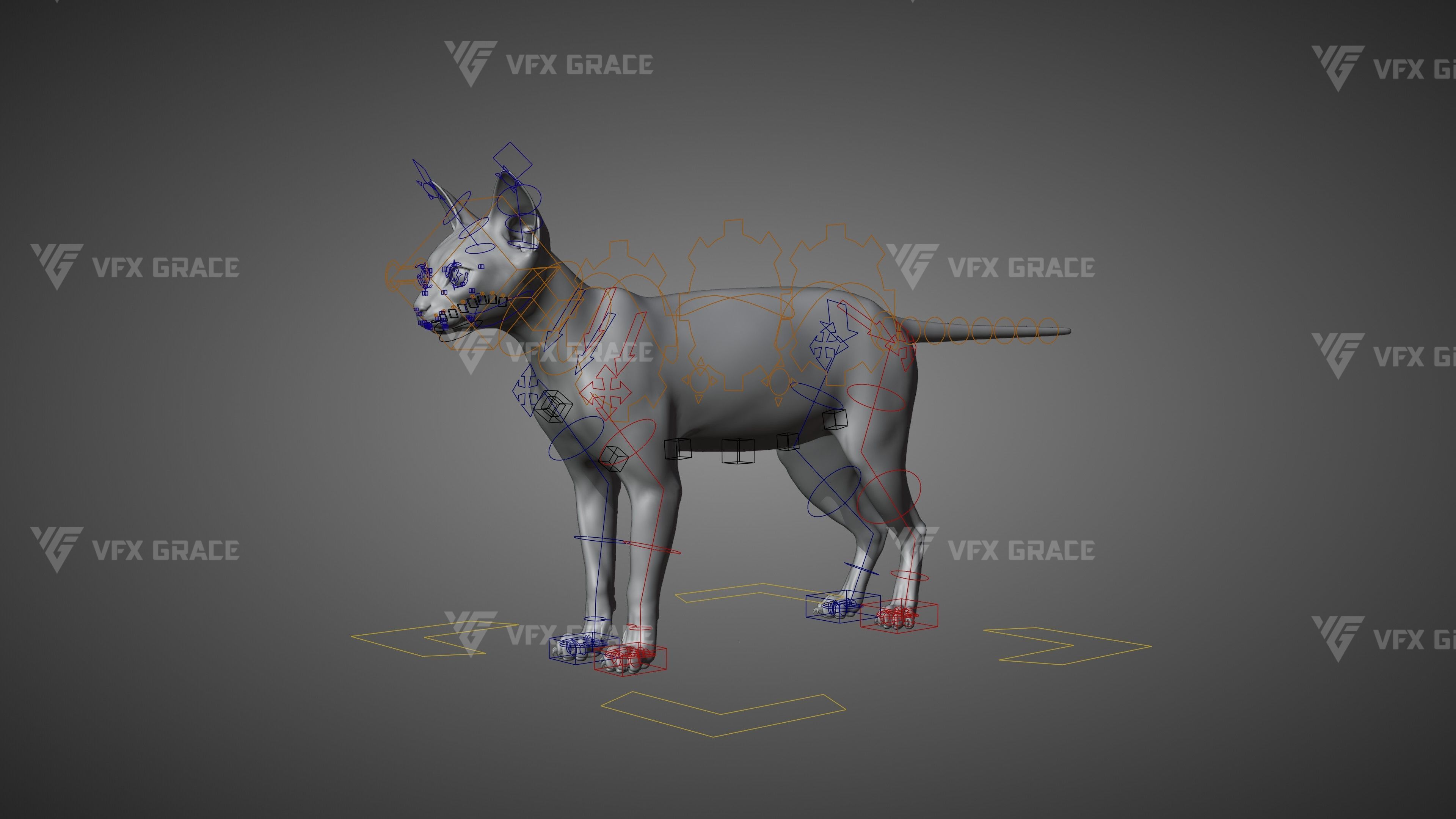 Black Cat Animation - VFX Grace 3D model_17