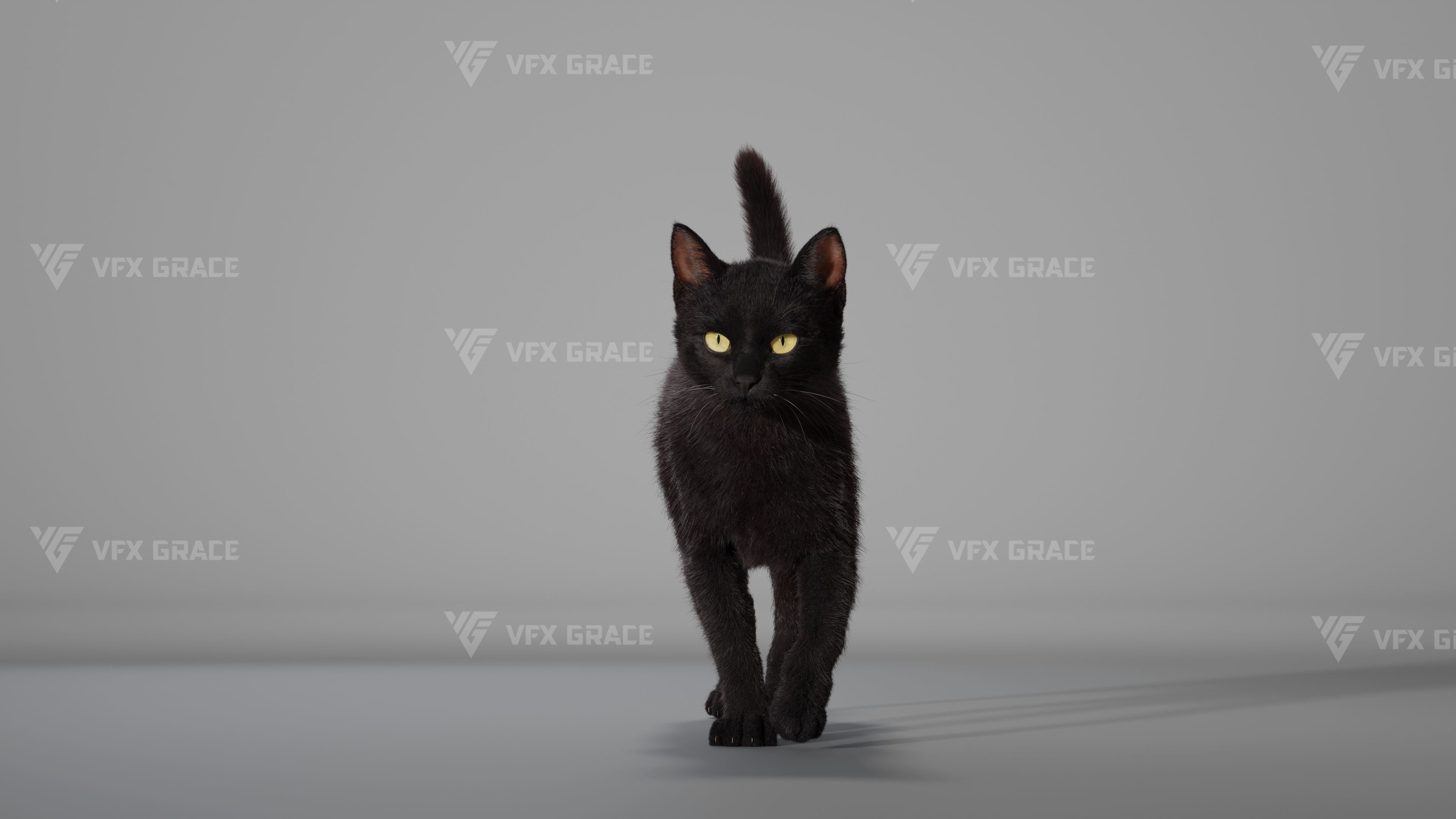 Black Cat Animation - VFX Grace 3D model_5