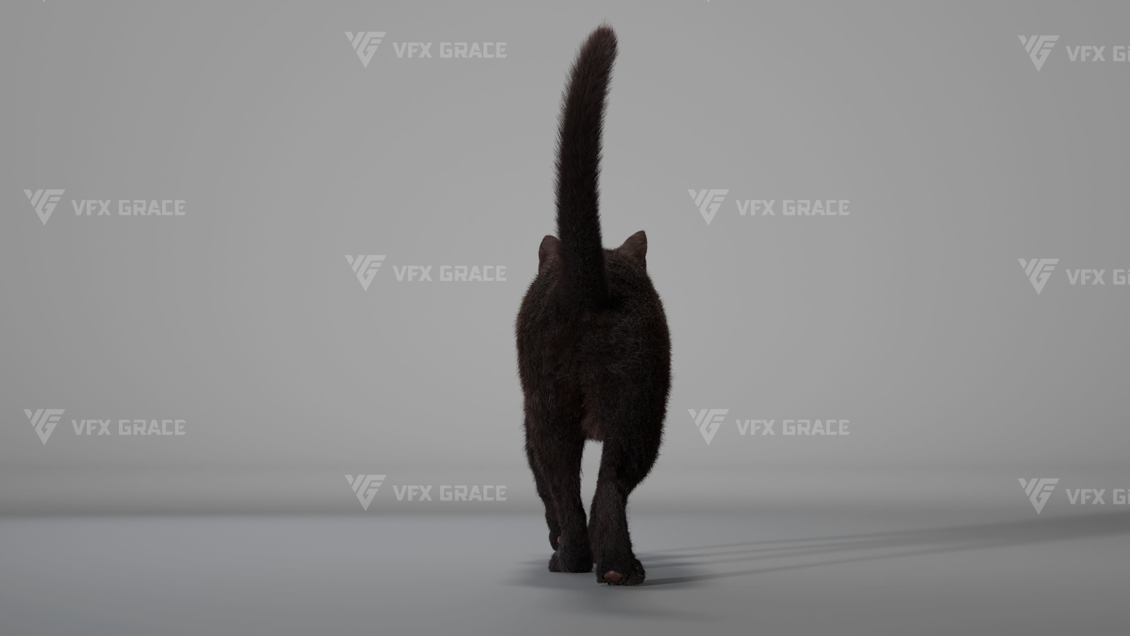 Black Cat Animation - VFX Grace 3D model_9