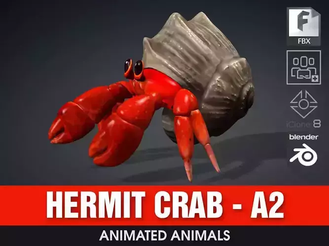 Hermit Crab-A2 3D model