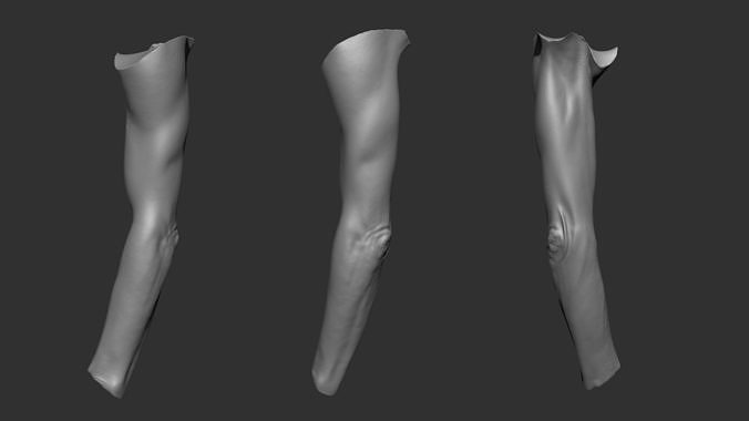 3D Scanned Male Arm - High-Resolution Male-Hispanic-53 Yrs old 3D model