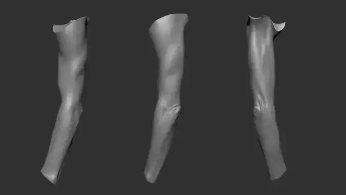 3D Scanned Male Arm - High-Resolution Male-Hispanic-53 Yrs old