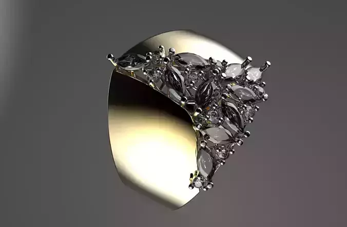 jewelry ring 210