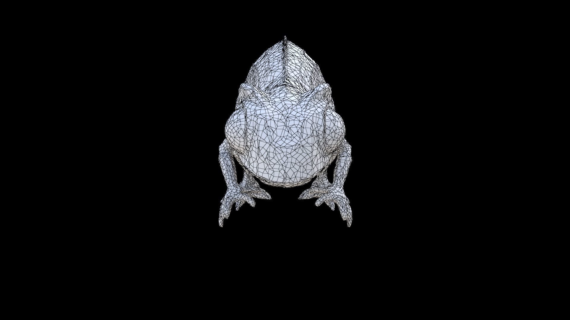 Chameleon 3D model_6