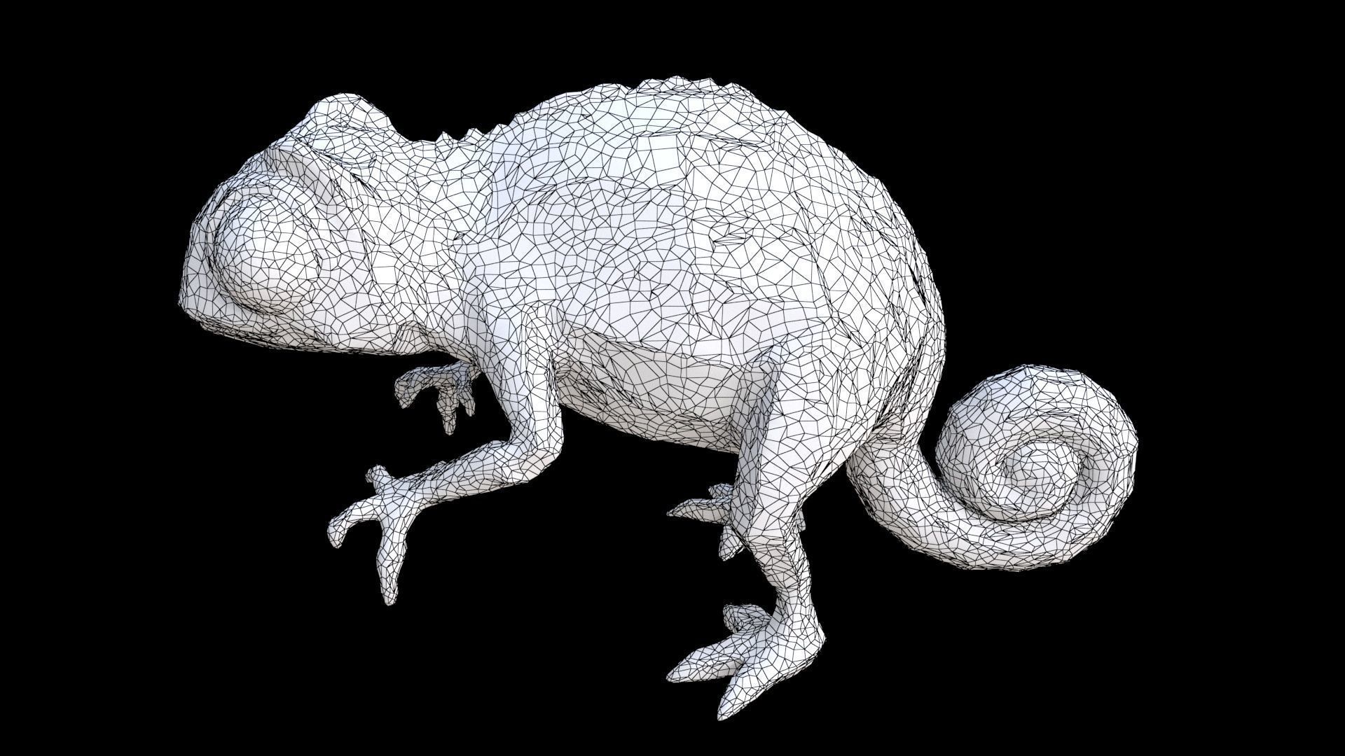 Chameleon 3D model_7
