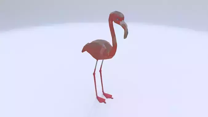Flamingo 3D model