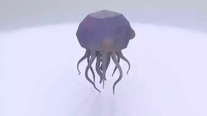 Jellyfish