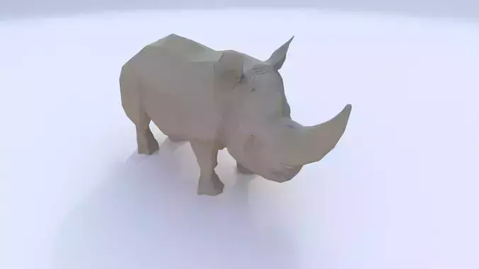 Rhinoceros