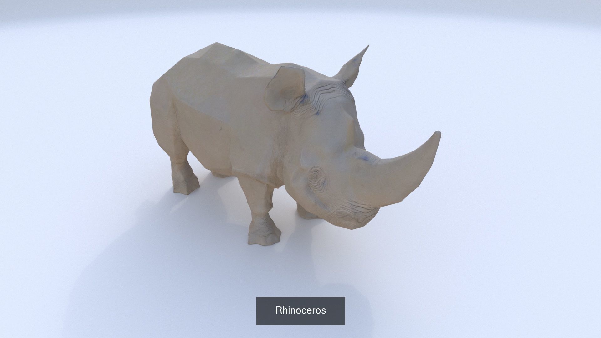 19 cartoon polygonal style animals 3D Model Collection_17