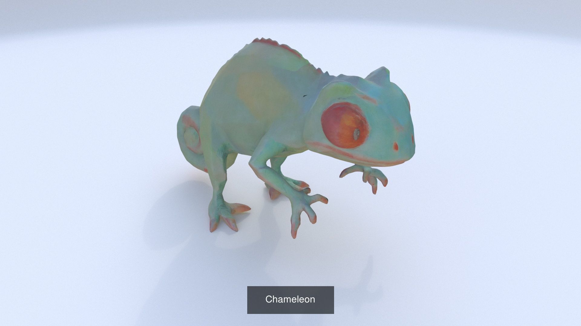 19 cartoon polygonal style animals 3D Model Collection_7