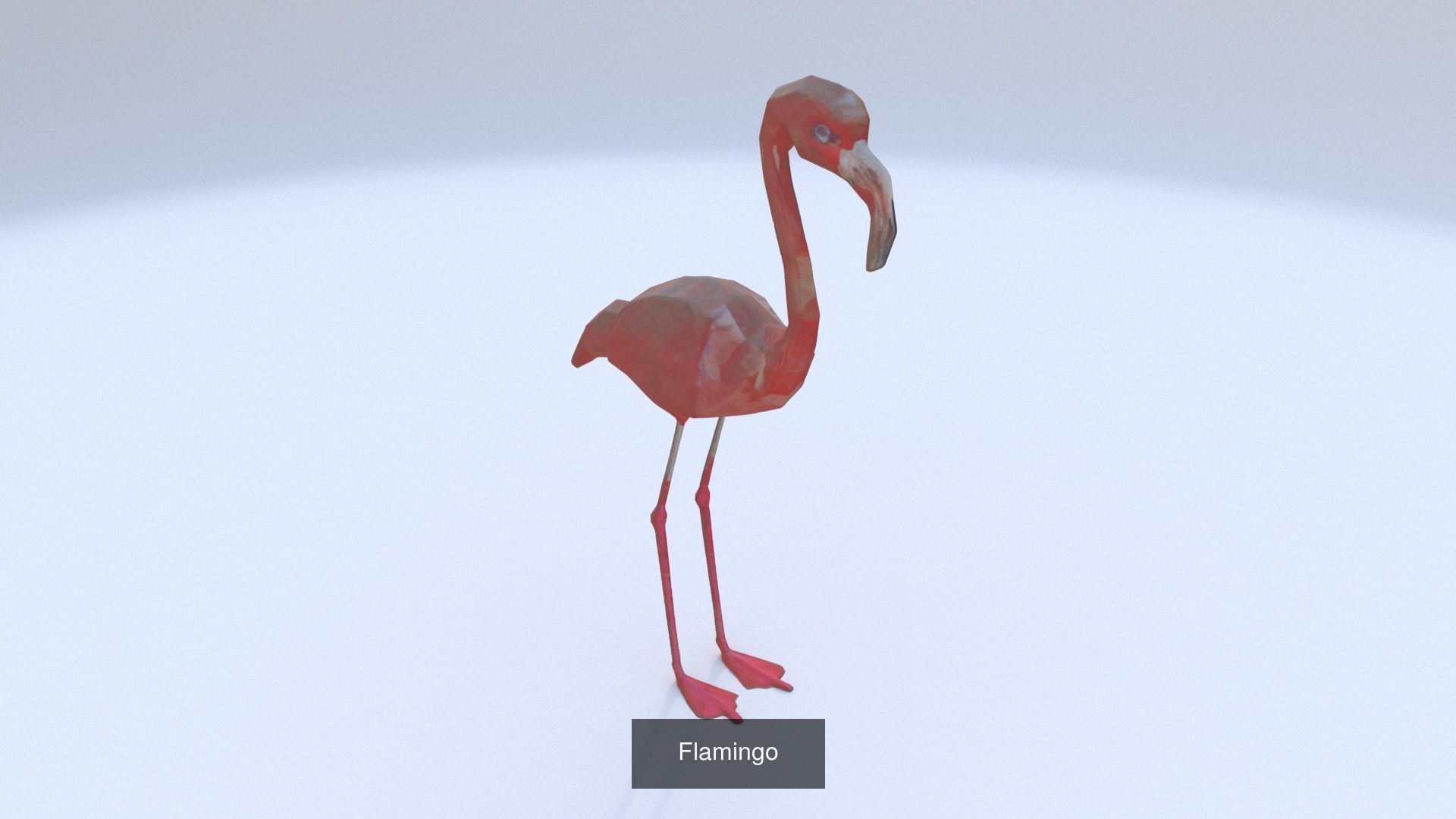 19 cartoon polygonal style animals 3D Model Collection_12