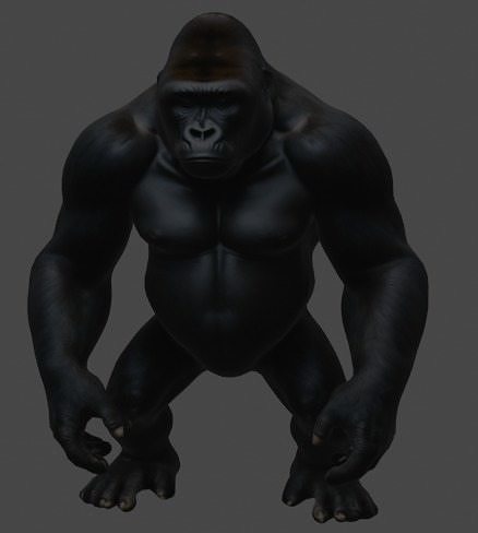 Majestic Gorilla 3D Model 3D model